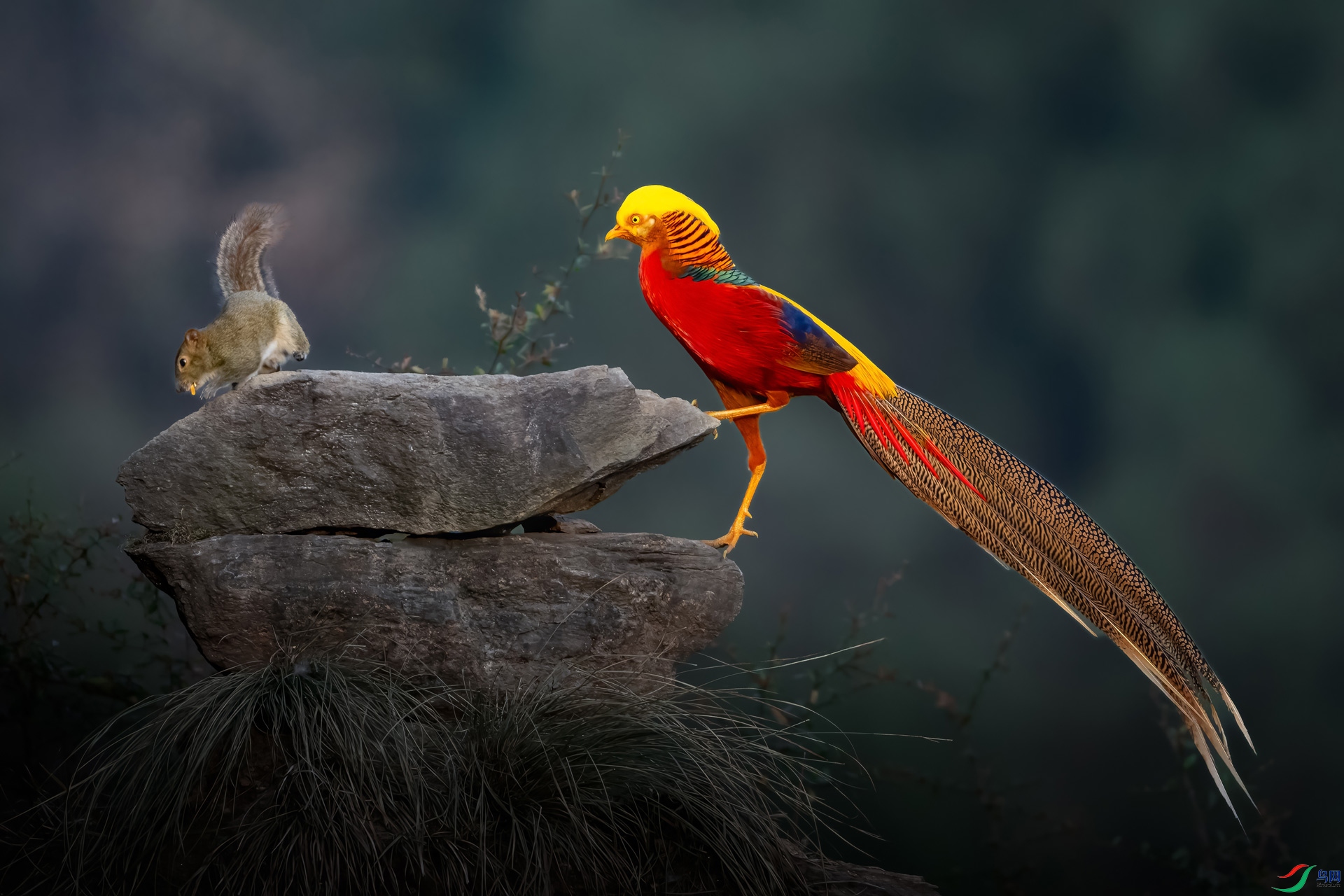 �������