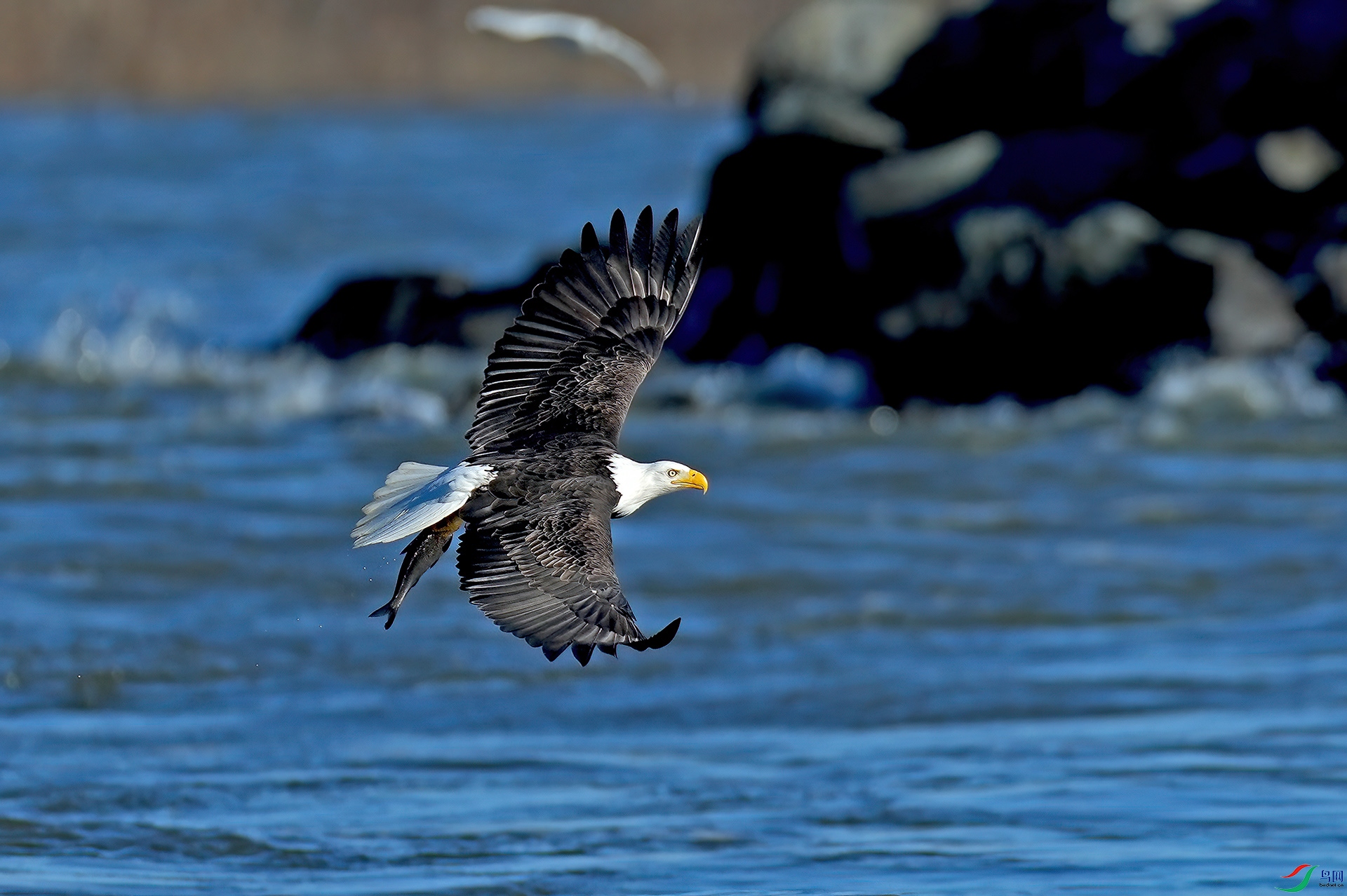 DSC00917--.jpg