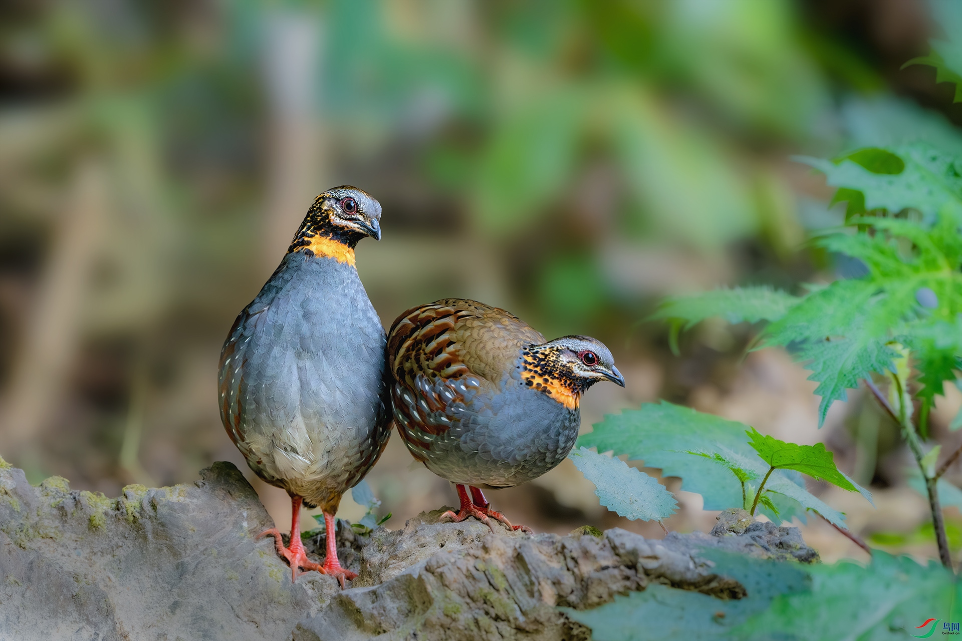 File00788-����ǿ-NR ����С.jpg