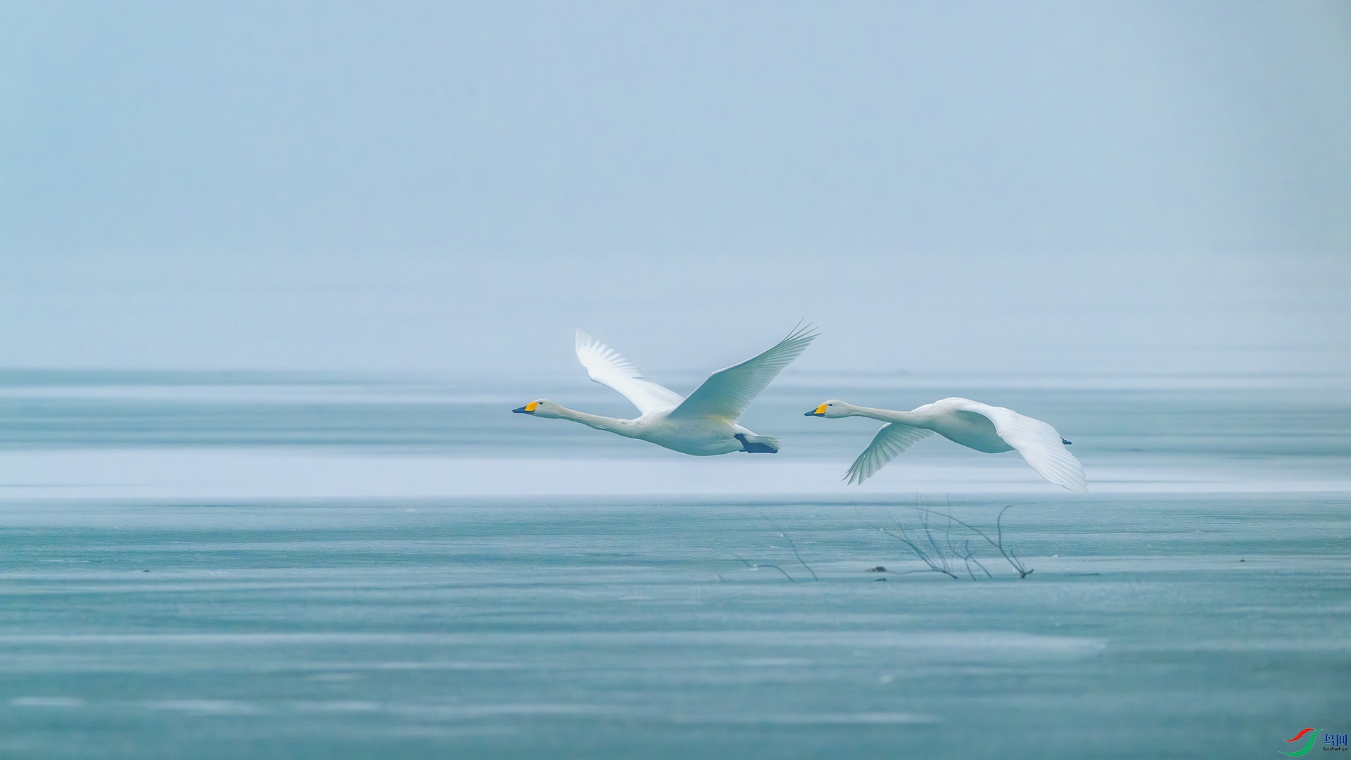 _DSC4324-����ǿ-NR ����С.jpg