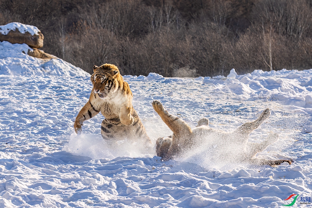 hljhlR231214 (2442).jpg