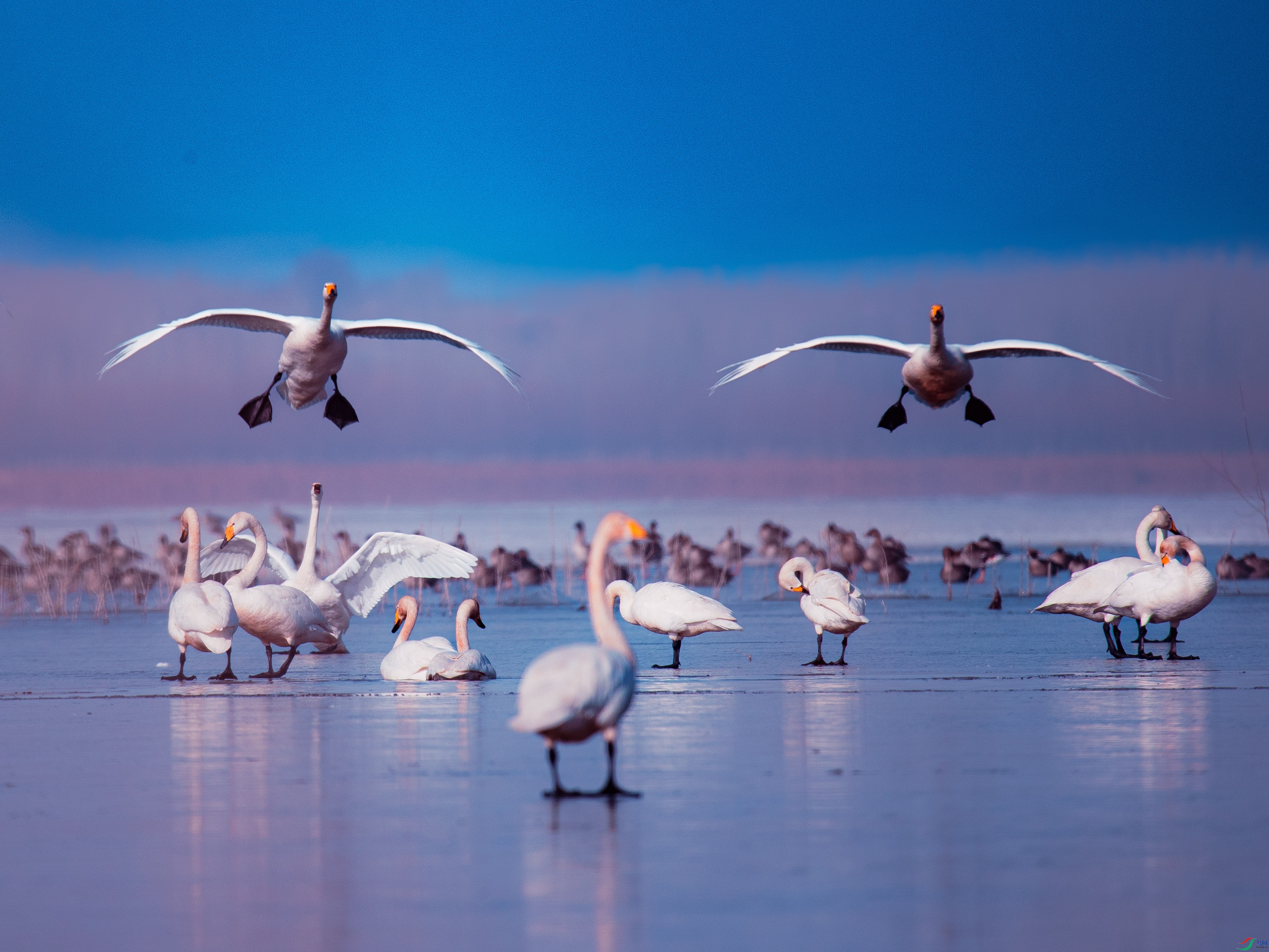 �������