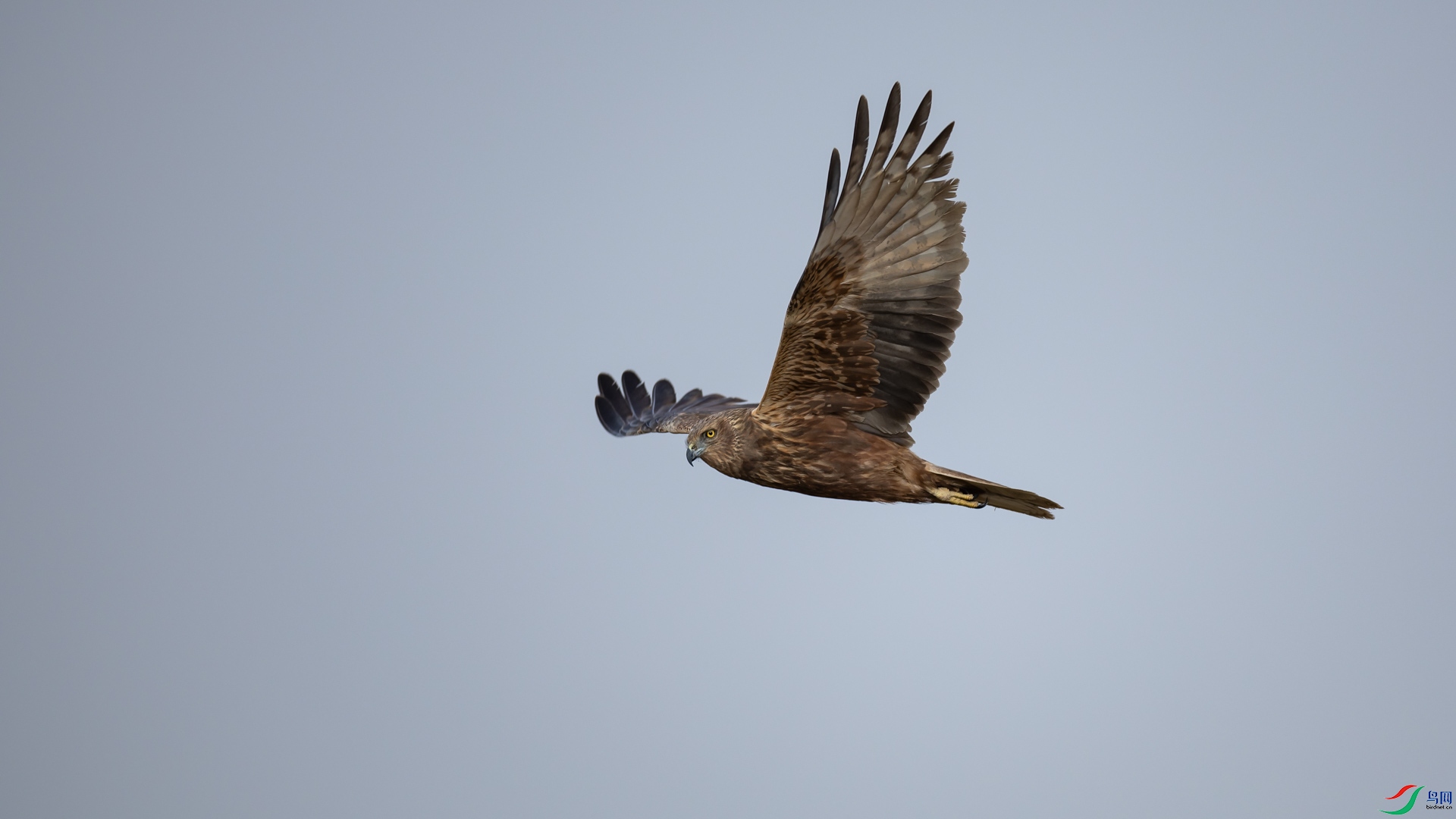 a_318110.jpg