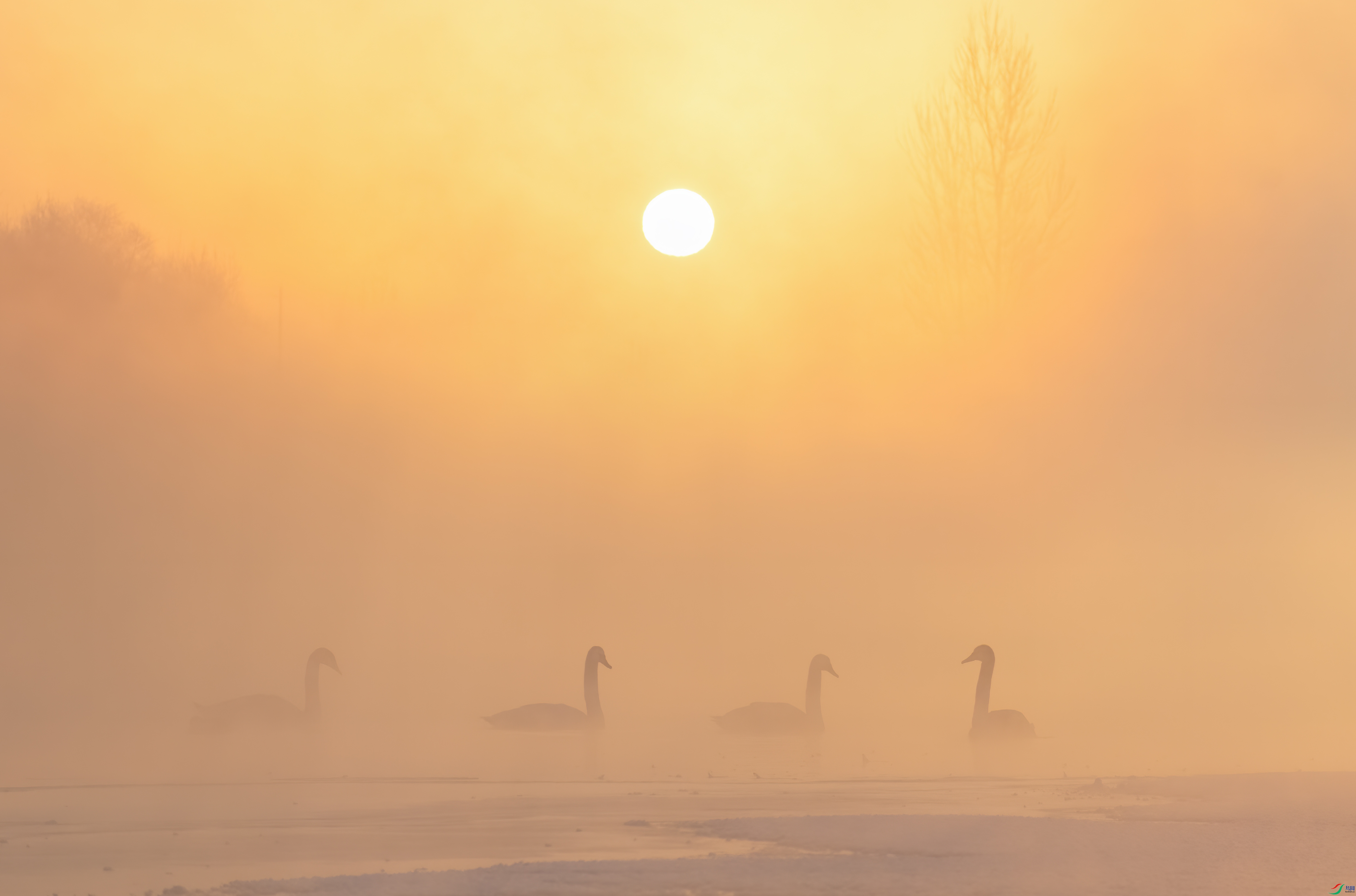 DSC_2052-1.jpg