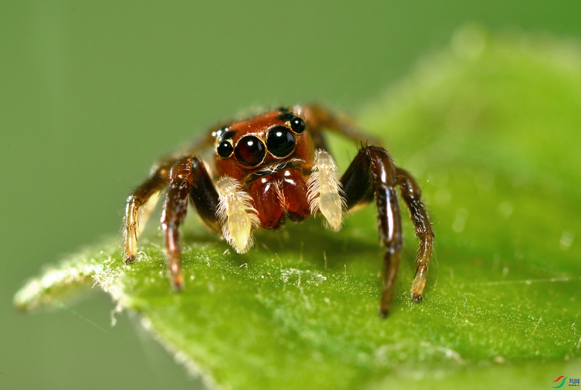 DSC_4781 ��������.jpg