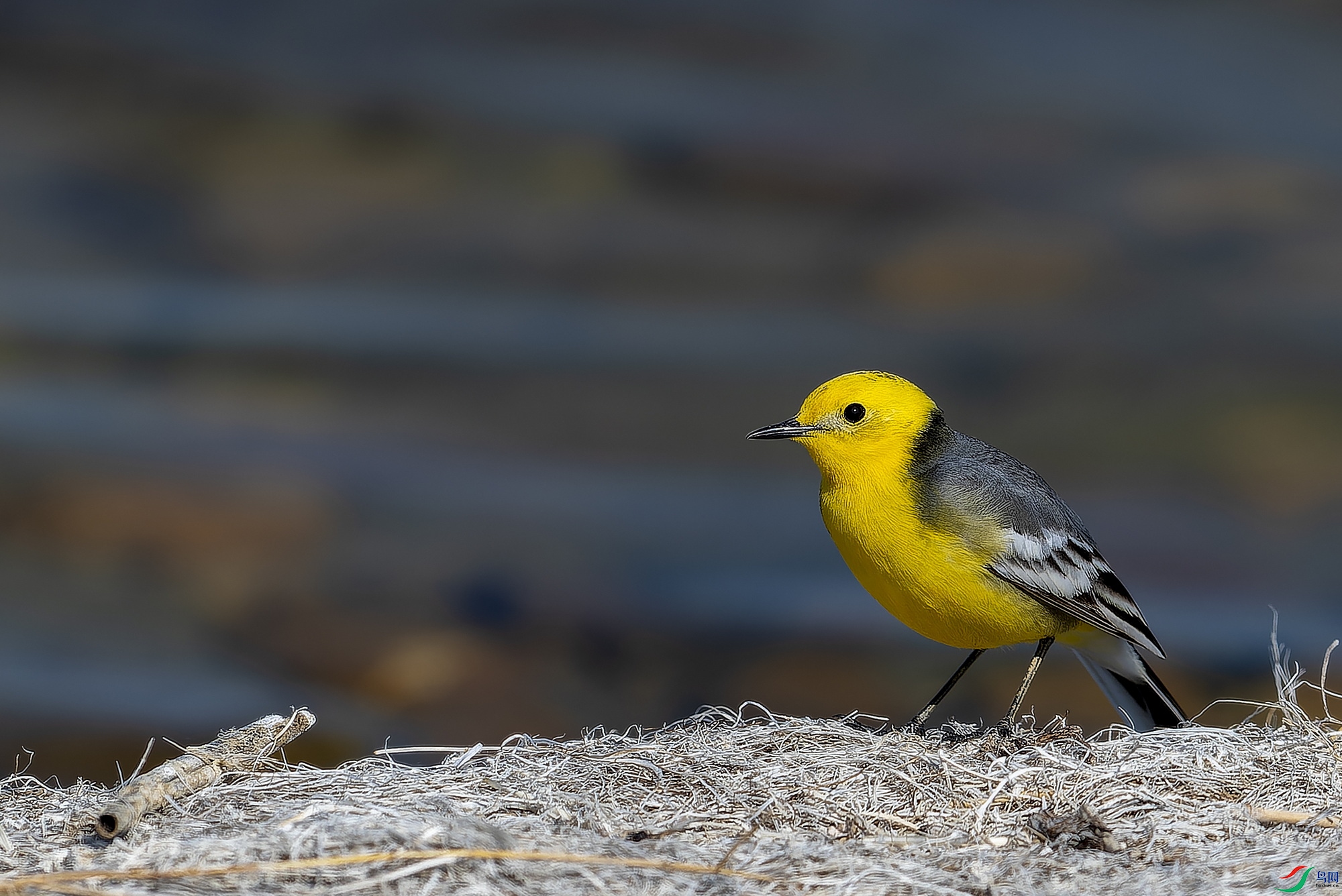 ��ͷ�n�_ (6).jpg