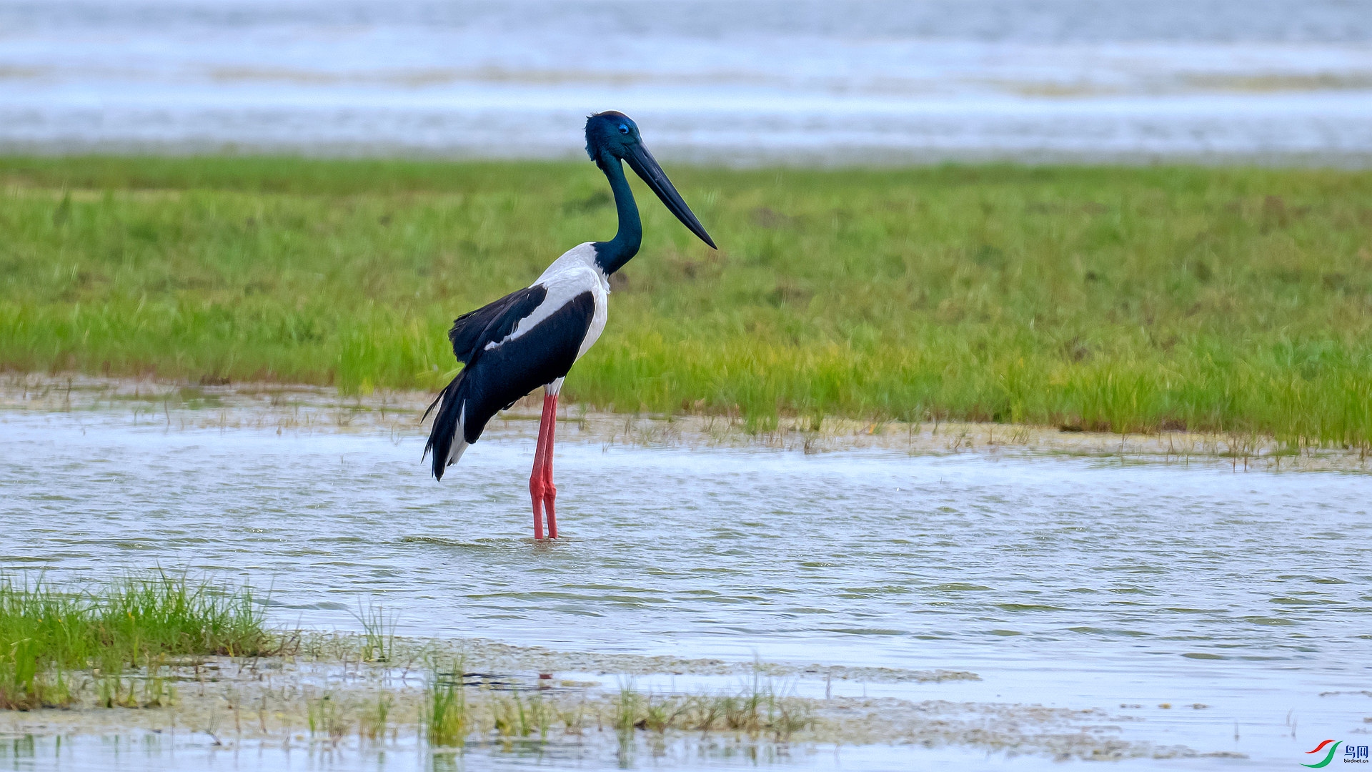 DSC_5229.jpg