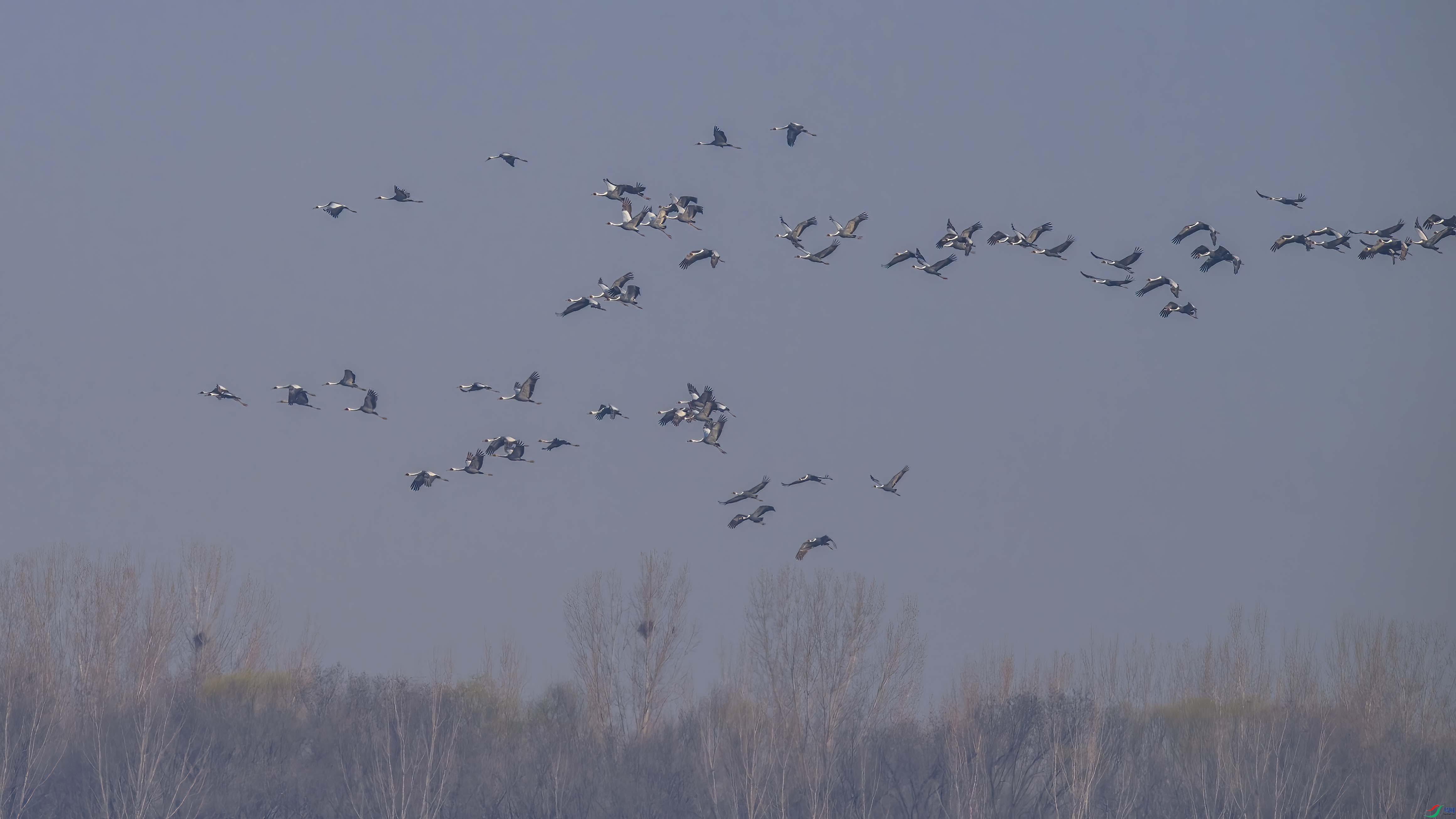 DSC_7864 ����.jpg