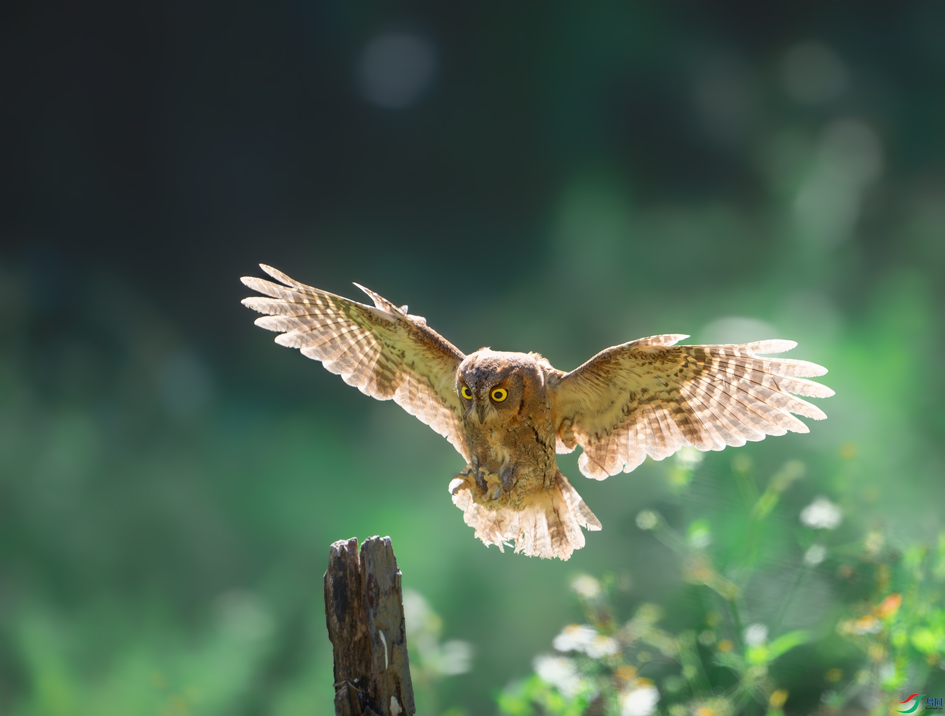 _DSC0764-����ǿ-NR ����.jpg