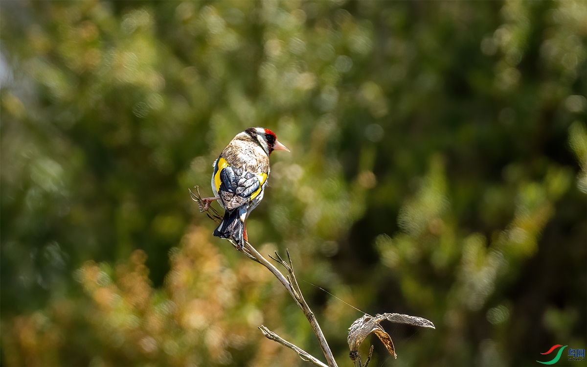 P1041674-1�����ȸ.jpg