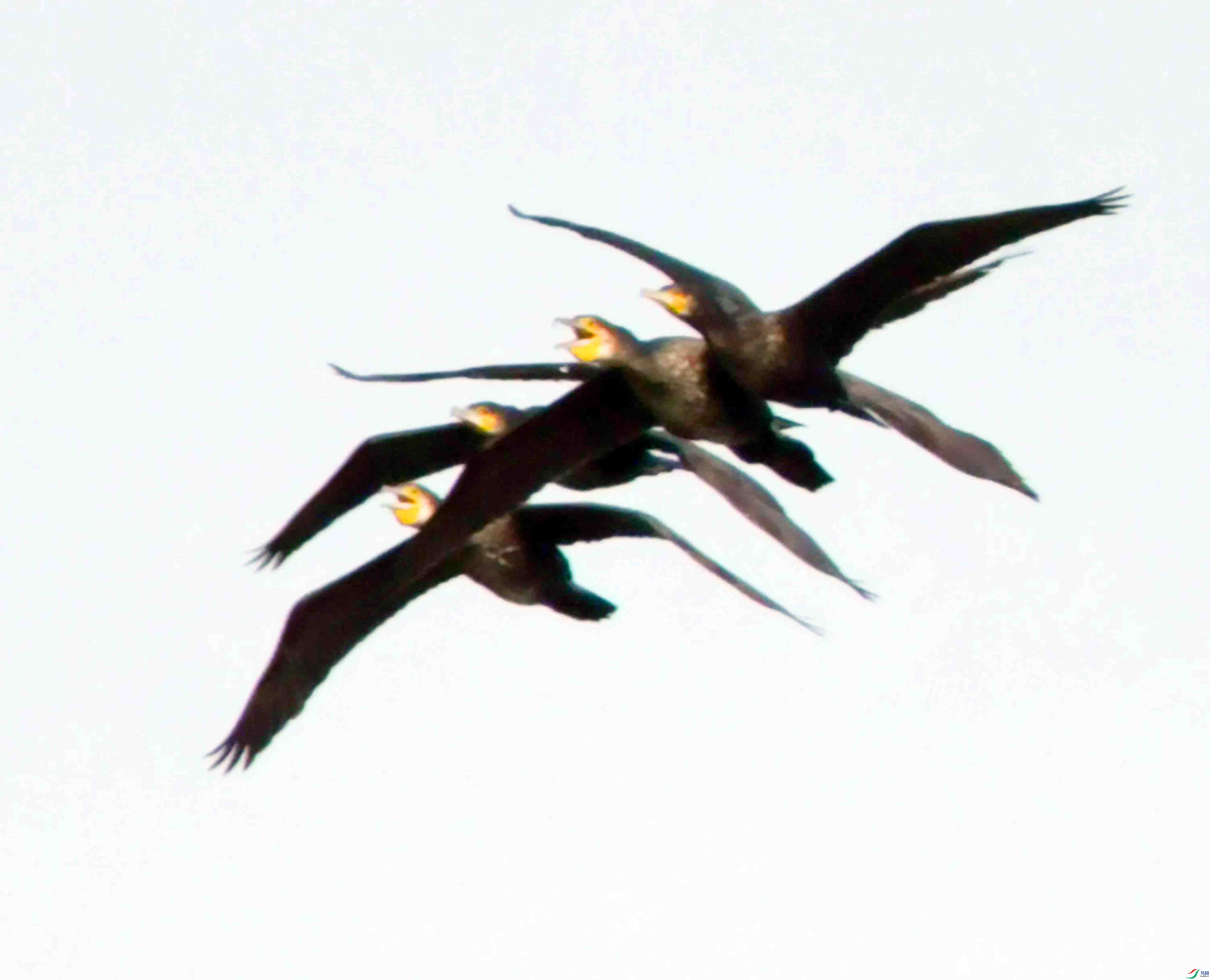 DSC_0431.JPG
