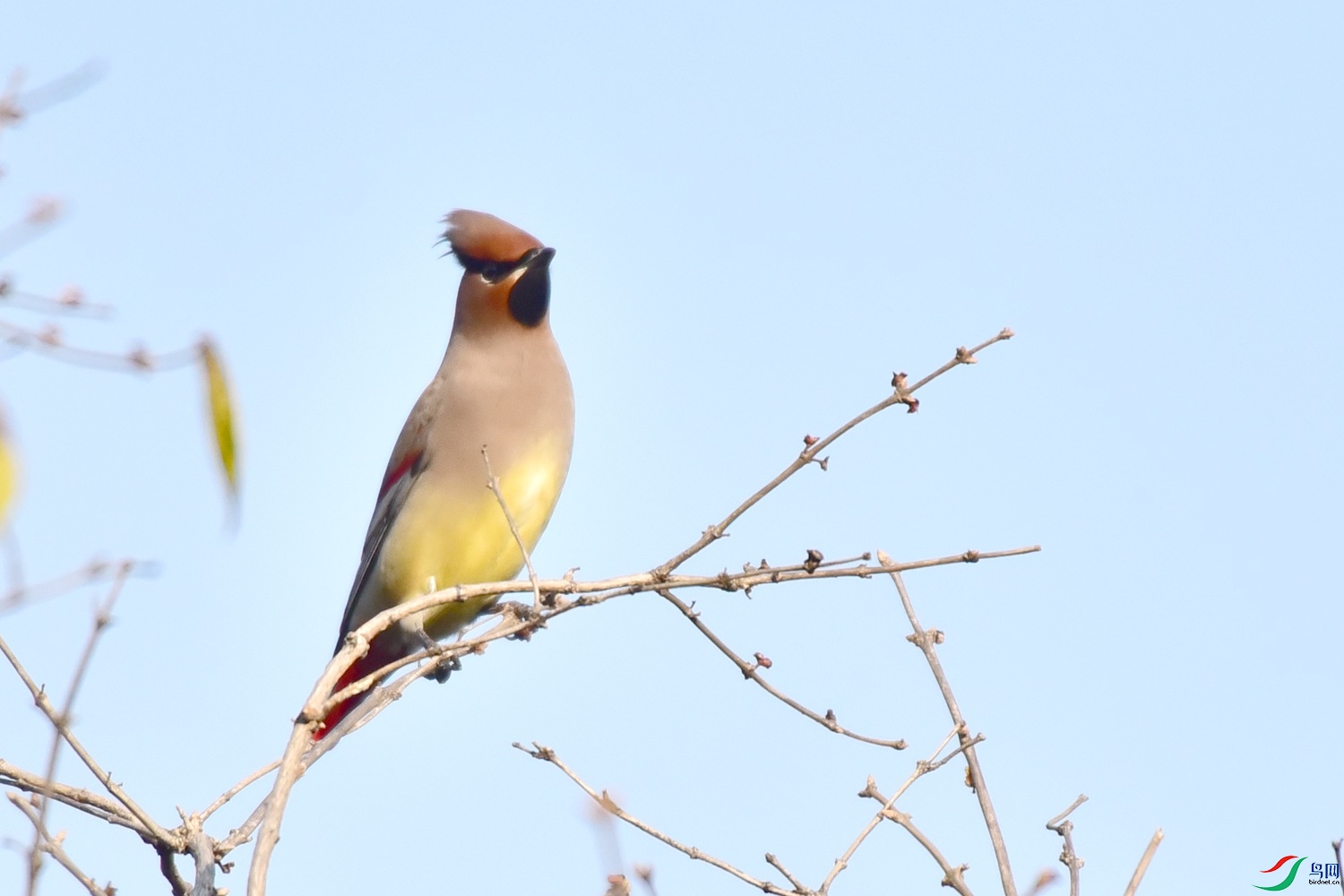 DSC_5755.JPG