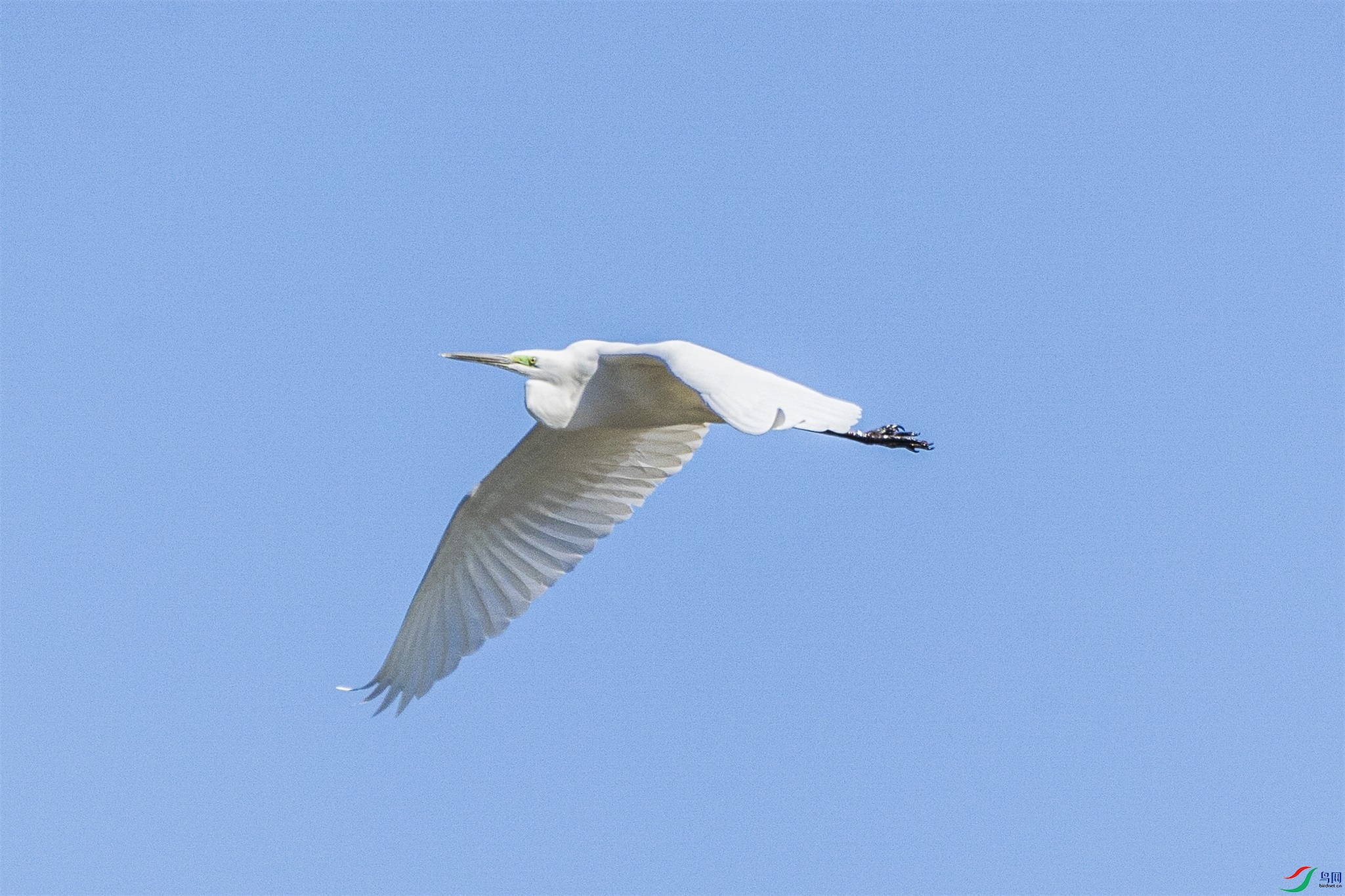 1K3A9378 ����1.jpg