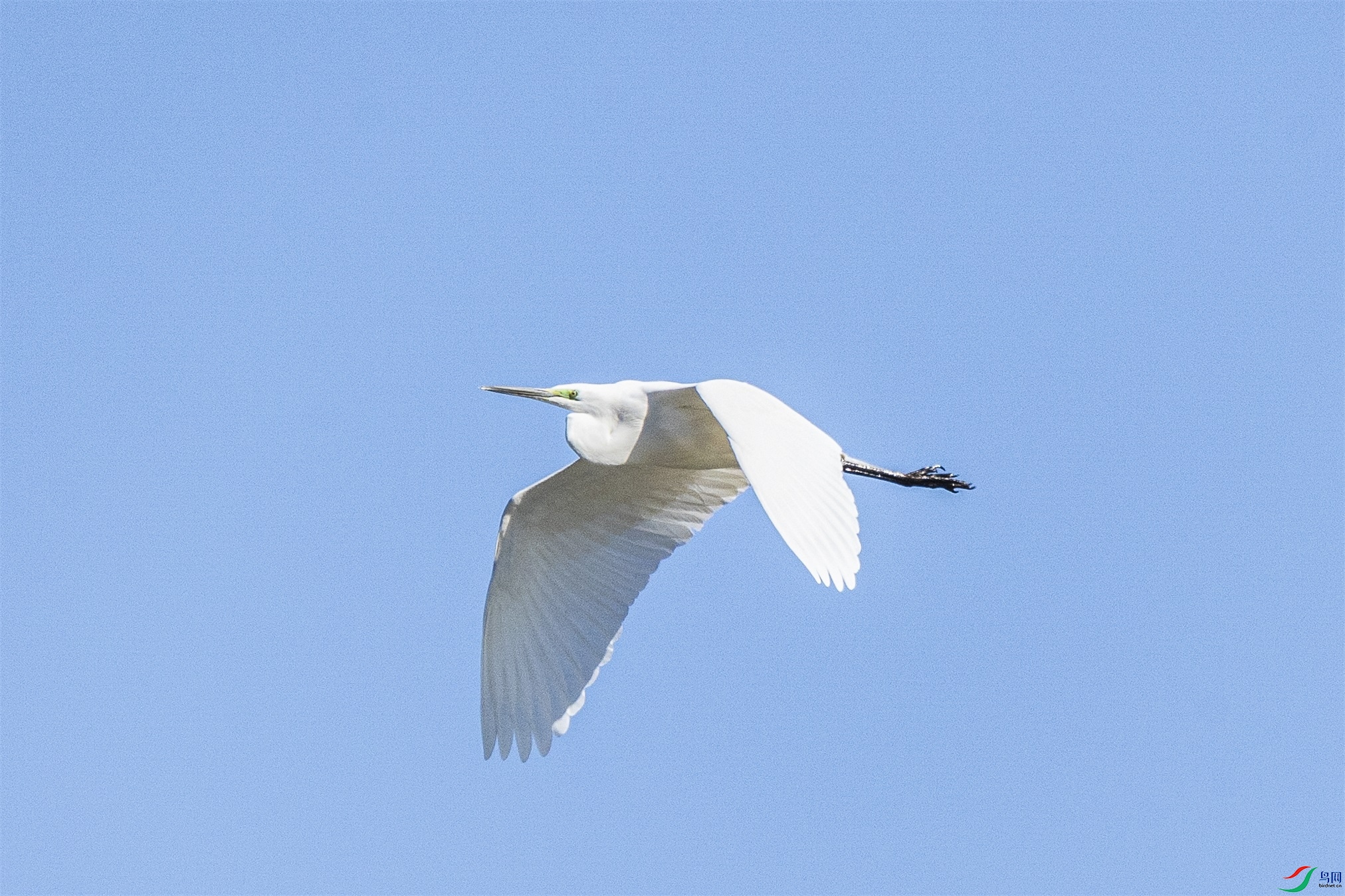 1K3A9379 ����1.jpg