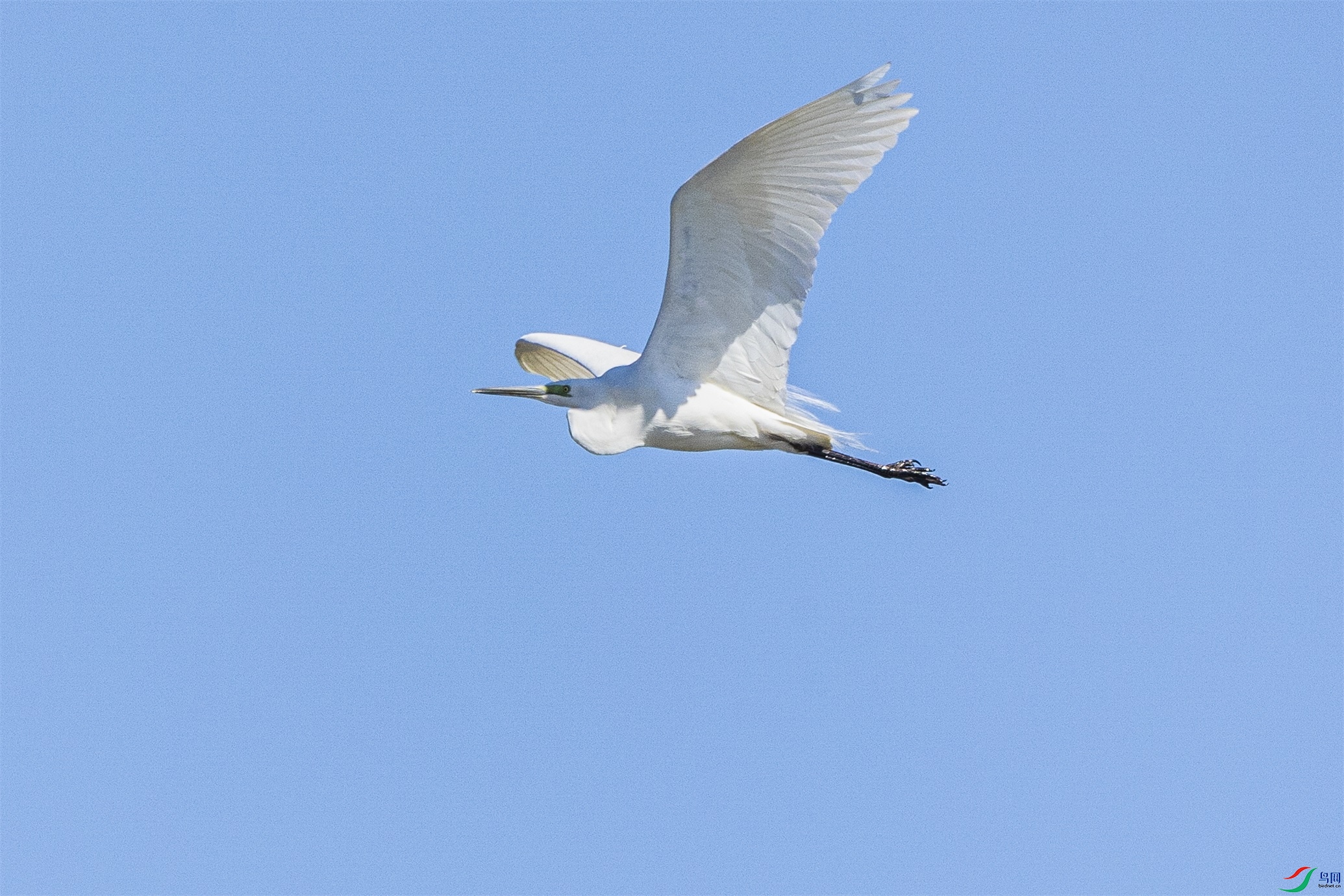 1K3A9382 ����1.jpg