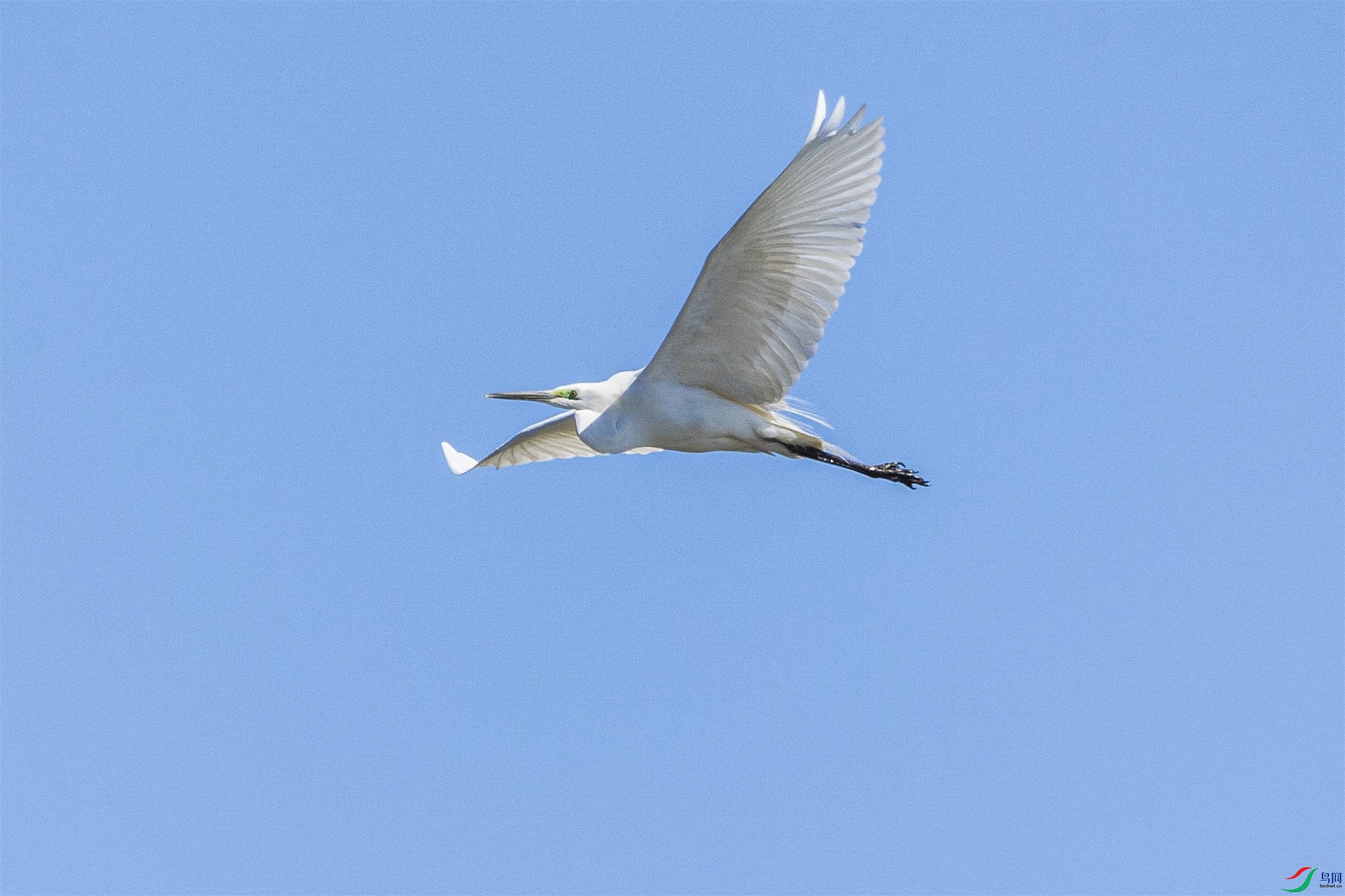 1K3A9383 ����1.jpg