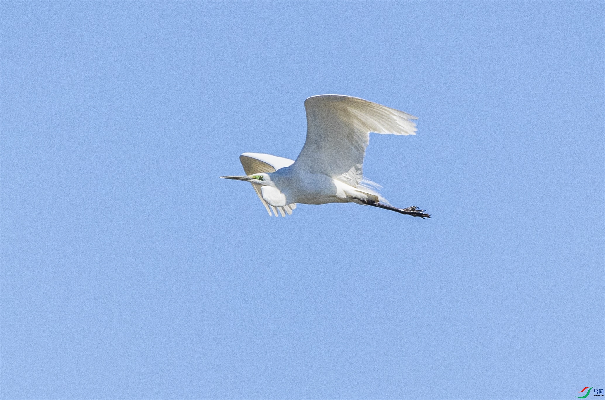 1K3A9381 ����1.jpg