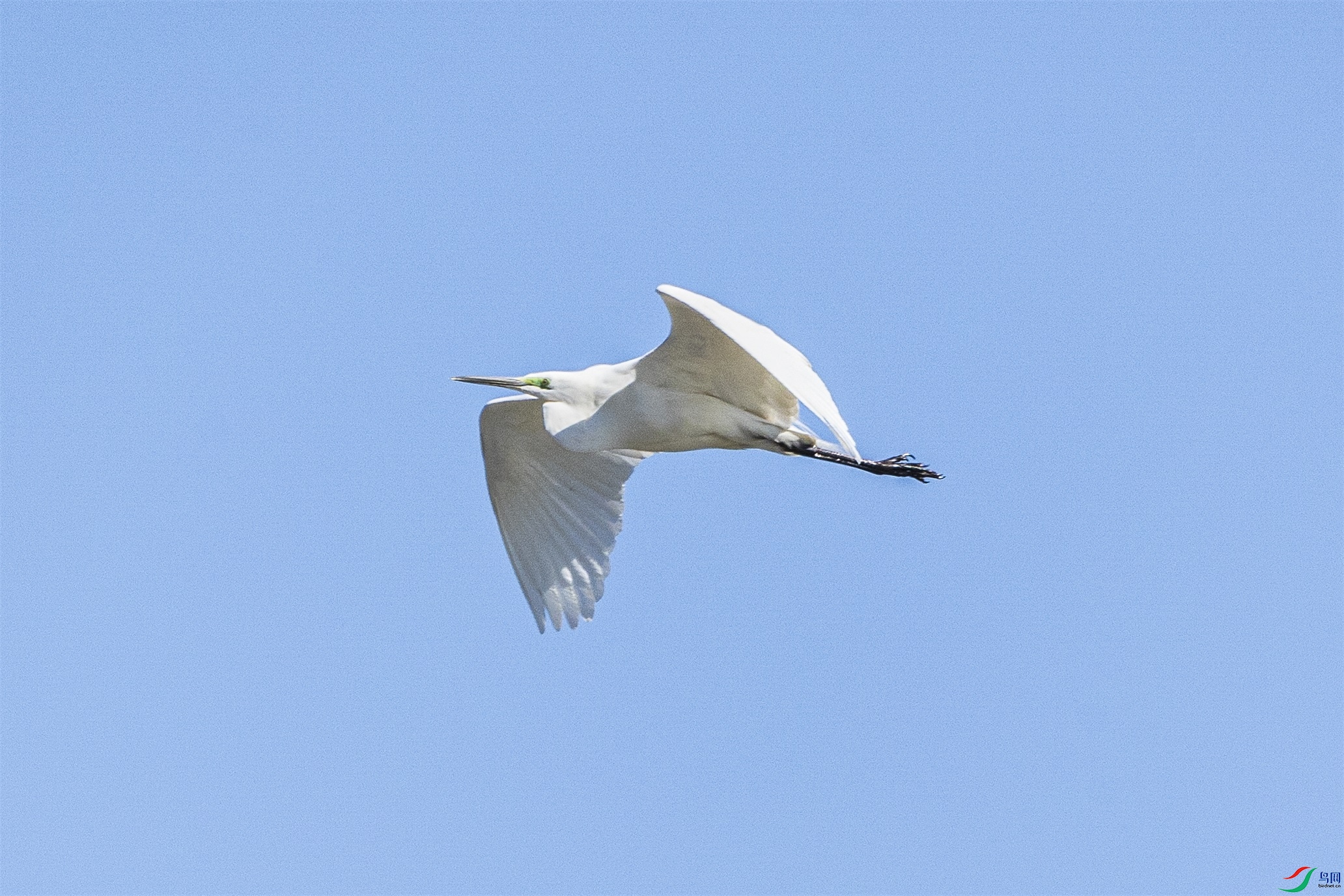 1K3A9380 ����1.jpg