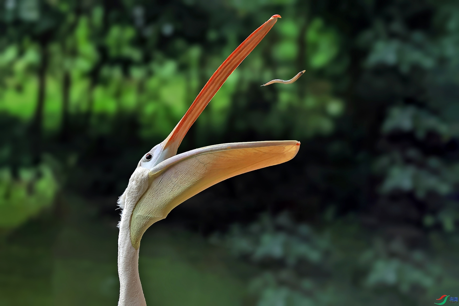 ÿ��һͼ �����ӣ�  ���� ������ ����.jpg