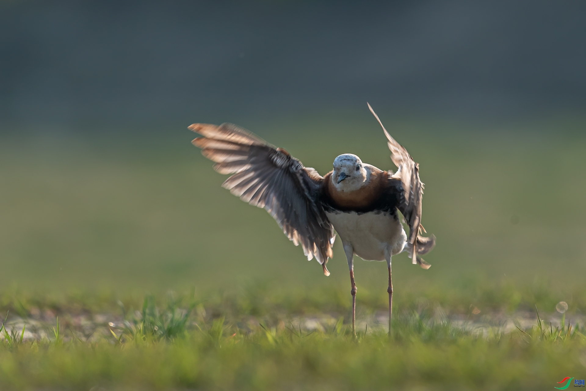 ÿ�ռ���  ���ⰻȻ  ���� ���� ����.jpg