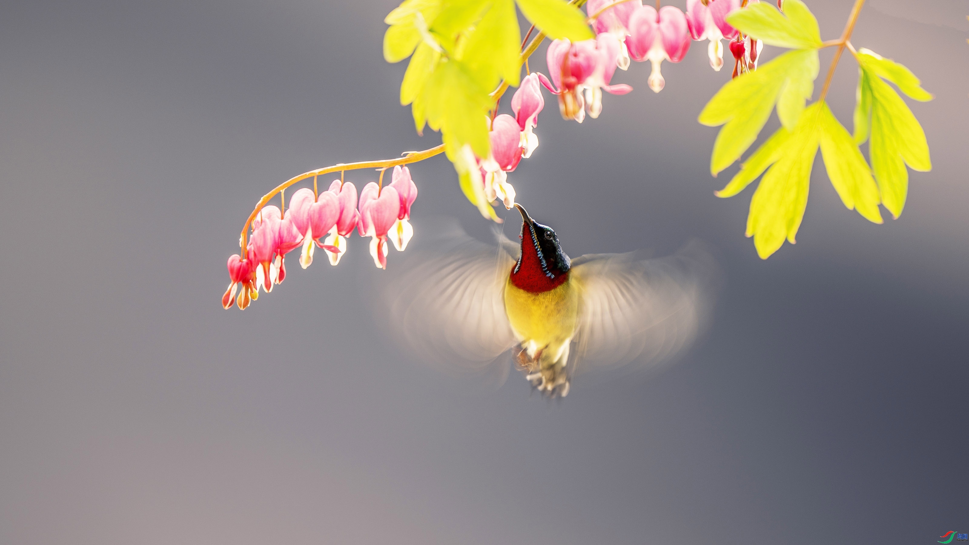 �������� ���� �� ��һ.jpg