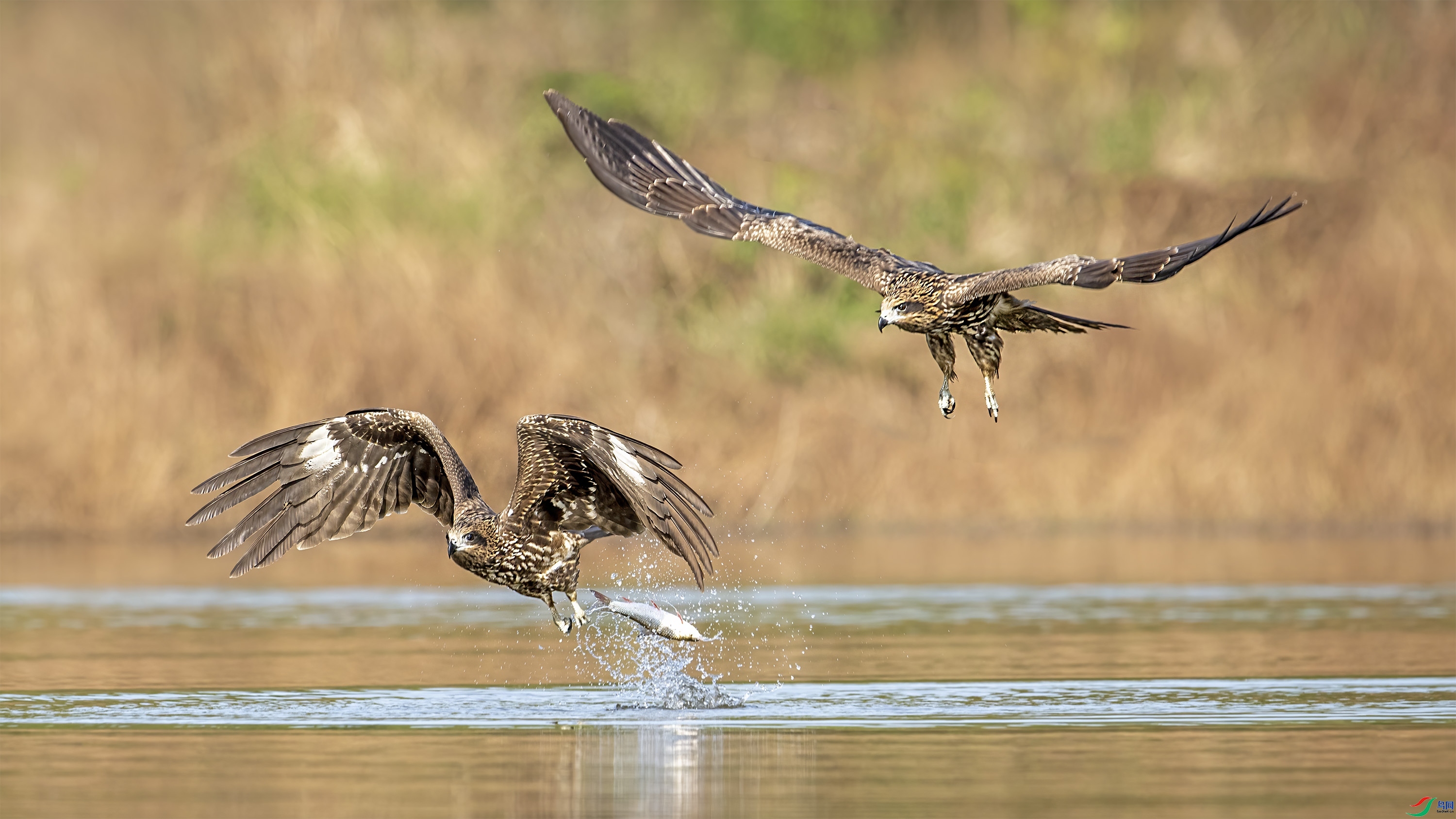 ����  ���� wh�ϳ� �ܶ�.jpg