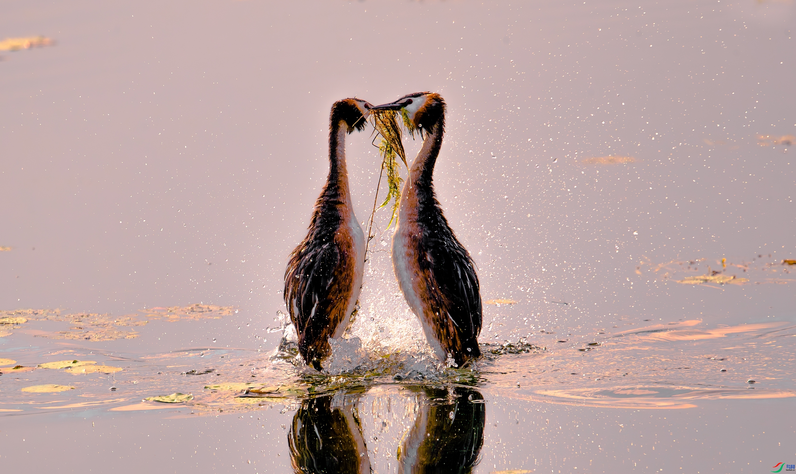 �������� ���� ���� �ܶ�.jpg