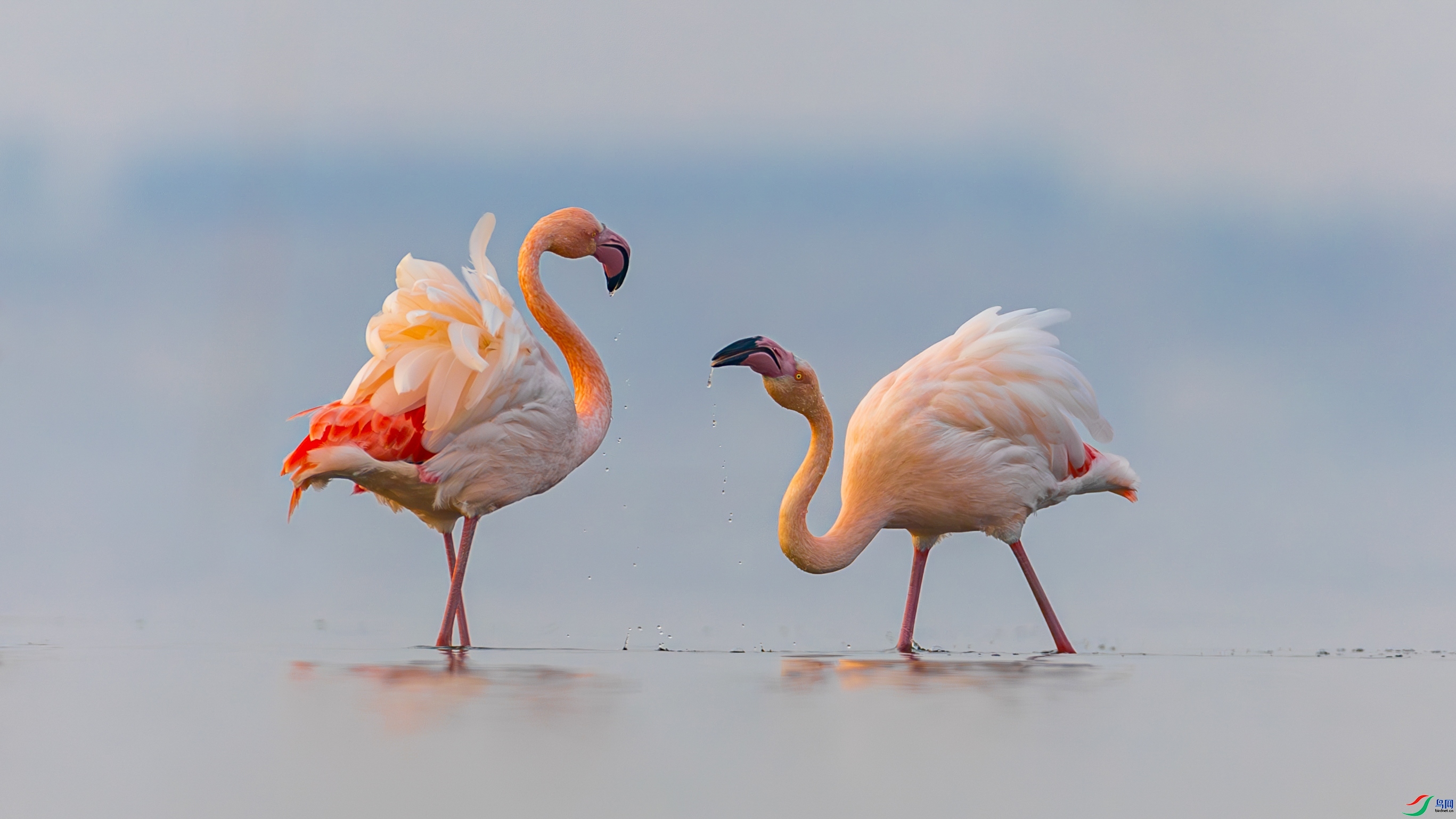 ��� ���� �䱾���� ����.jpg