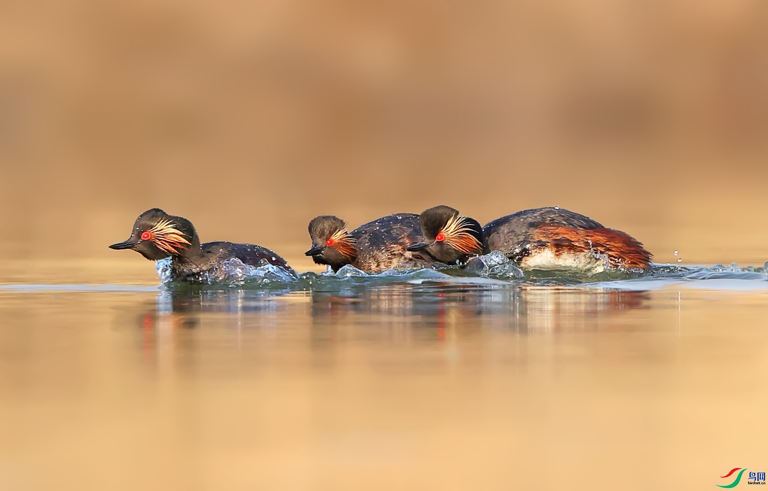 ���� ���� ��Ұ ����.jpg