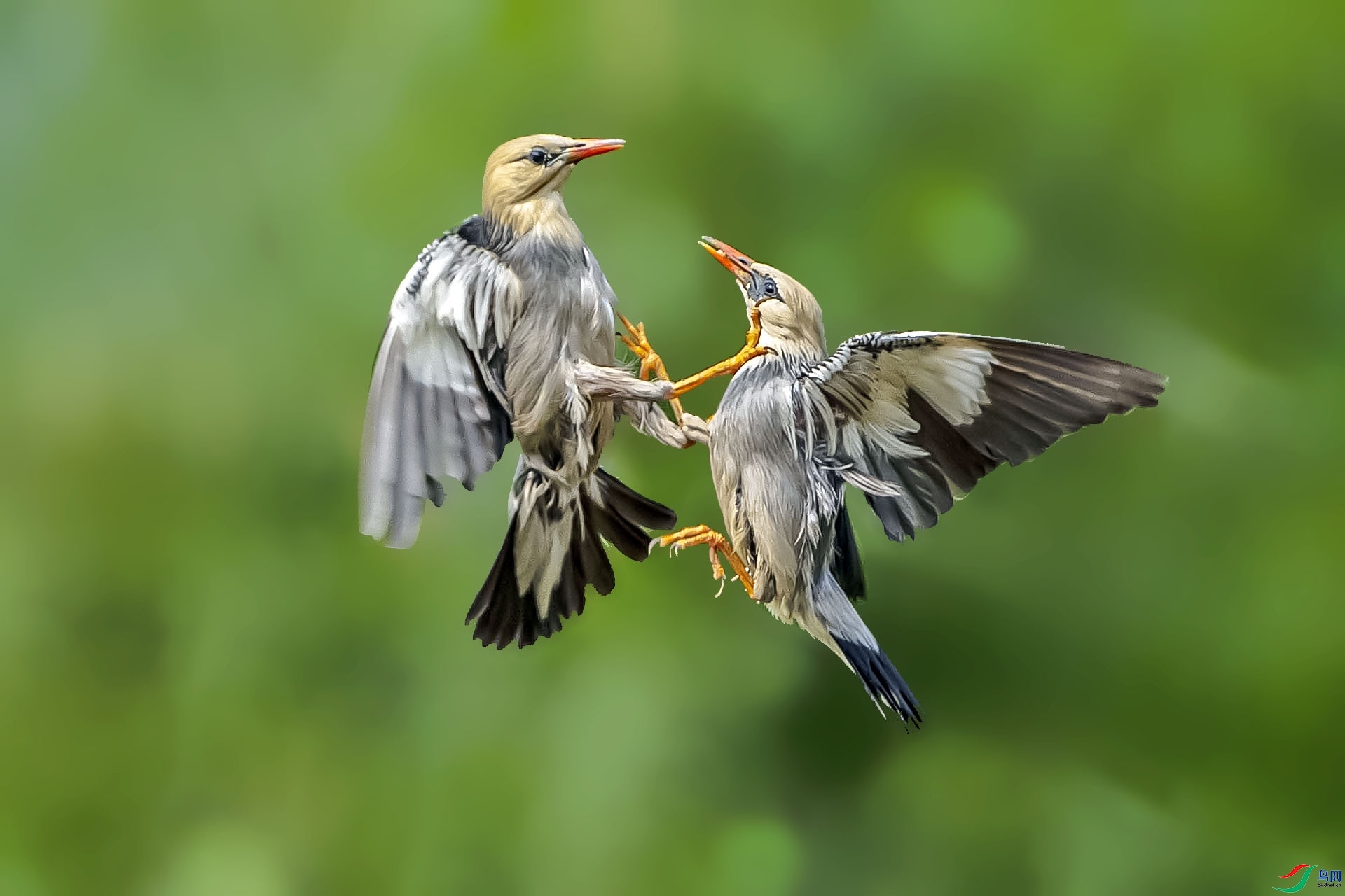 ���� ���� ������ ����.jpg