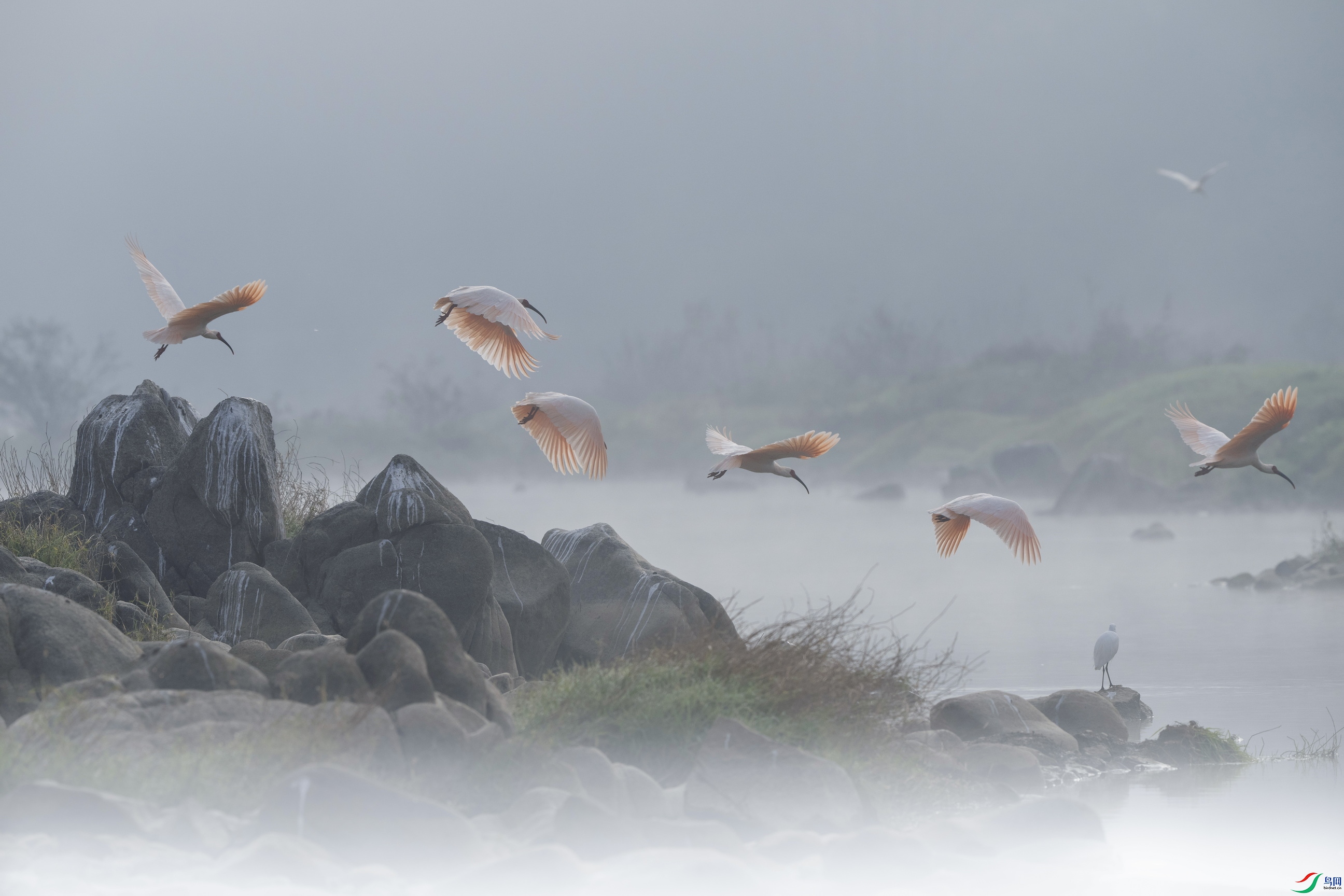 _DSC1232ab ����x.jpg