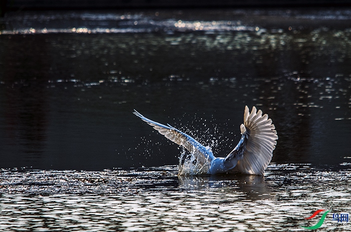 DSC_2801.jpg