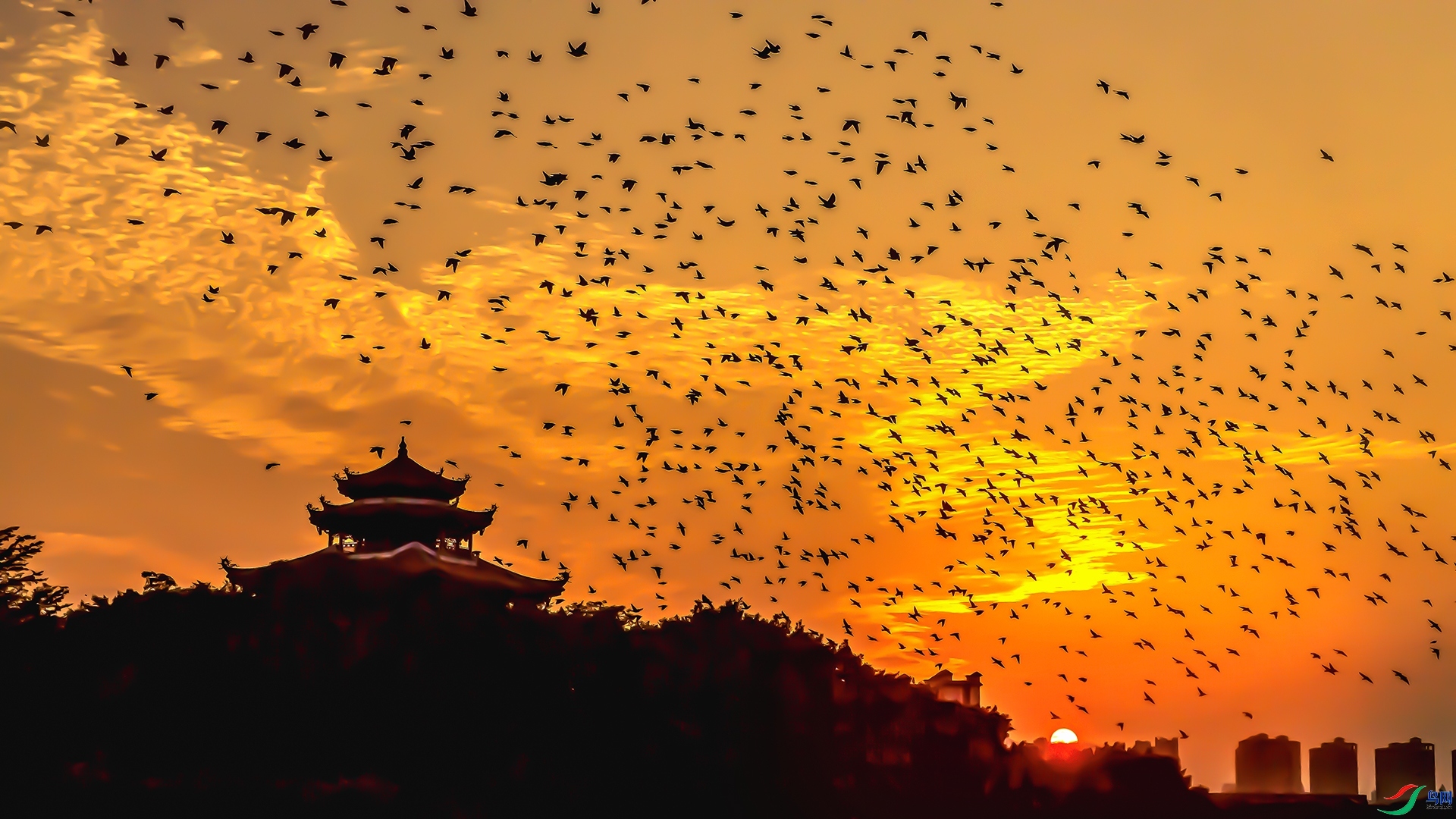 ���� ���� ����ǿ ����.jpg