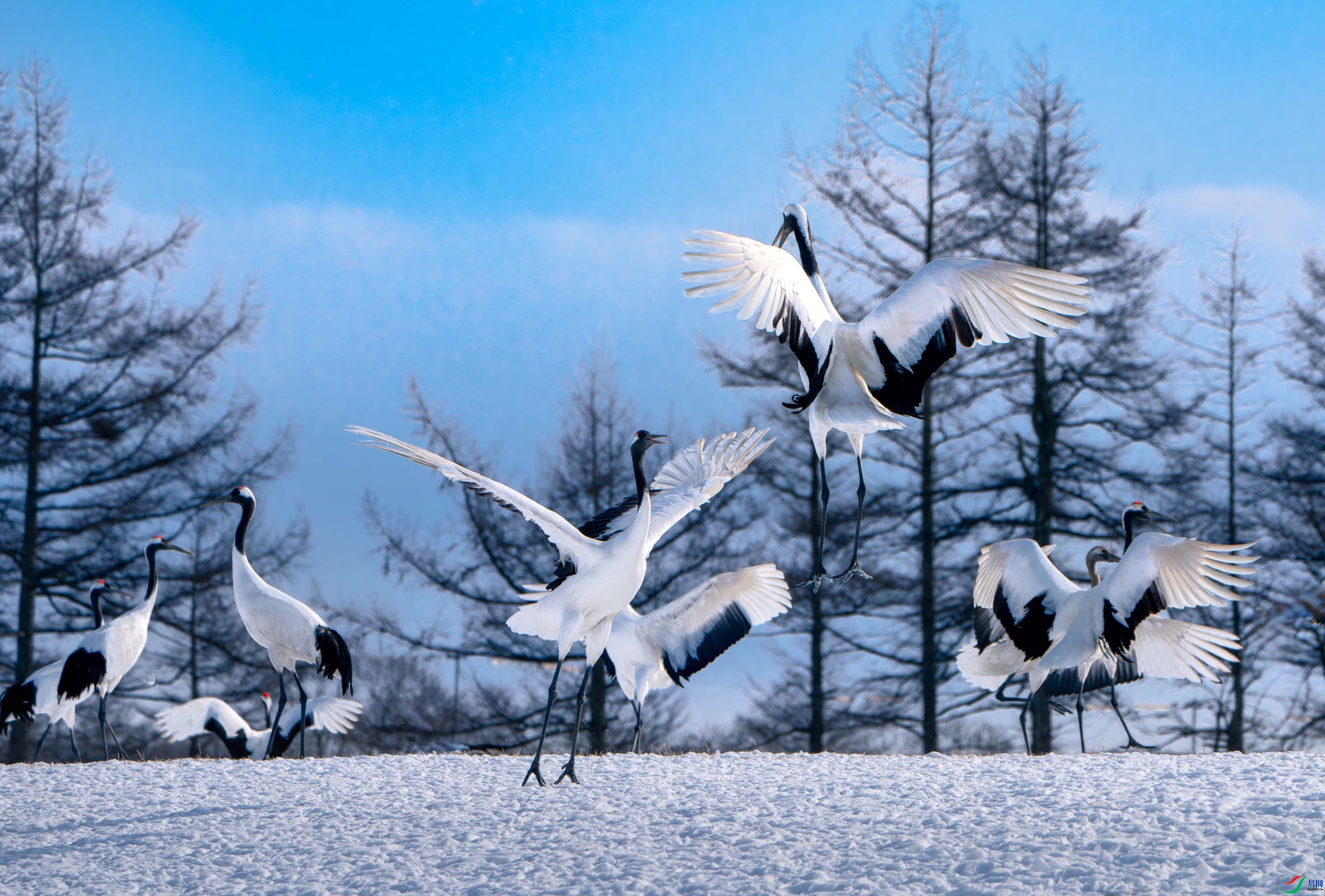 �ĸ� ֮�� ��Ϳ�ֺ�Ϳ ����.jpeg