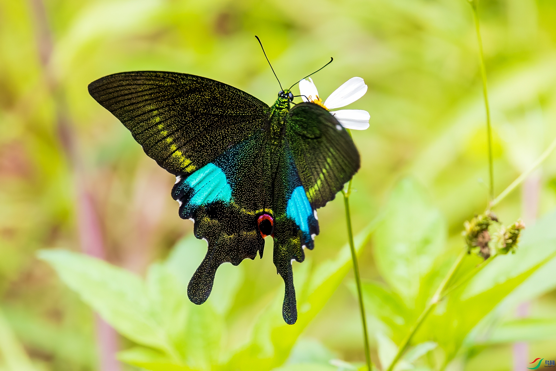 �������