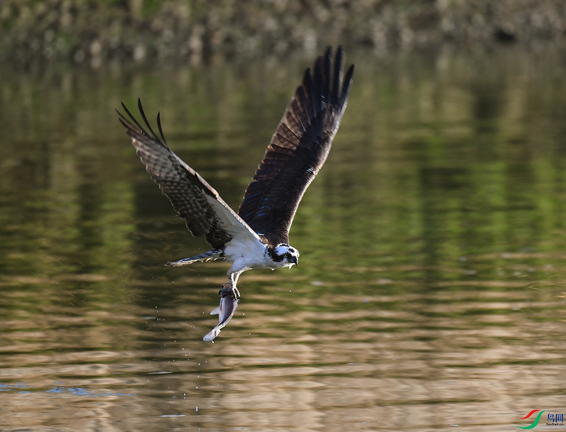 DSC_2853.JPG