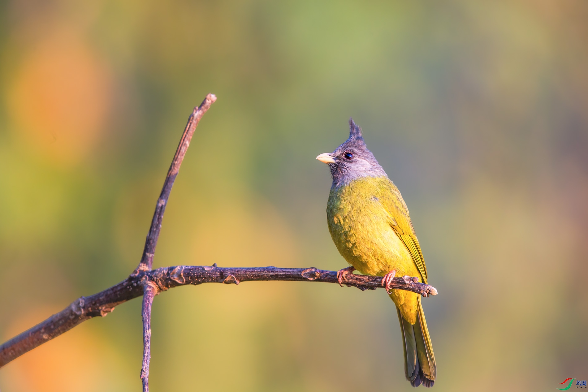 a_55750-1.jpg