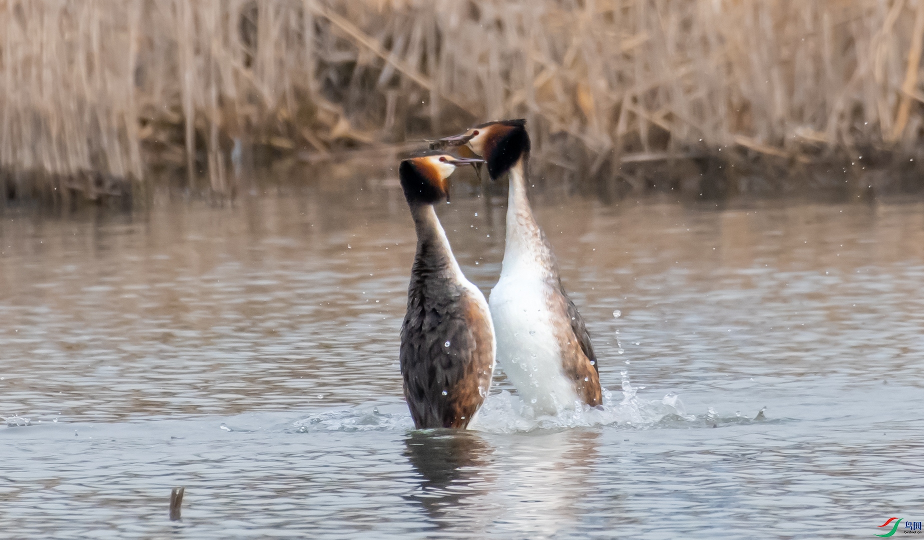 DSC_1180.jpg