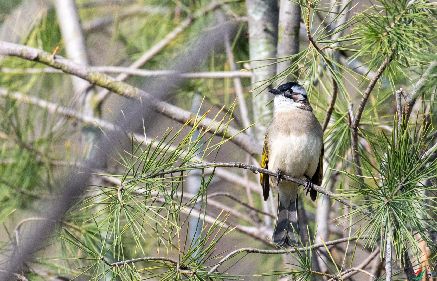 DSC_7521.jpg