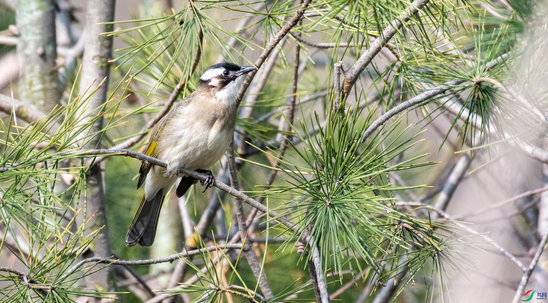DSC_7563.jpg