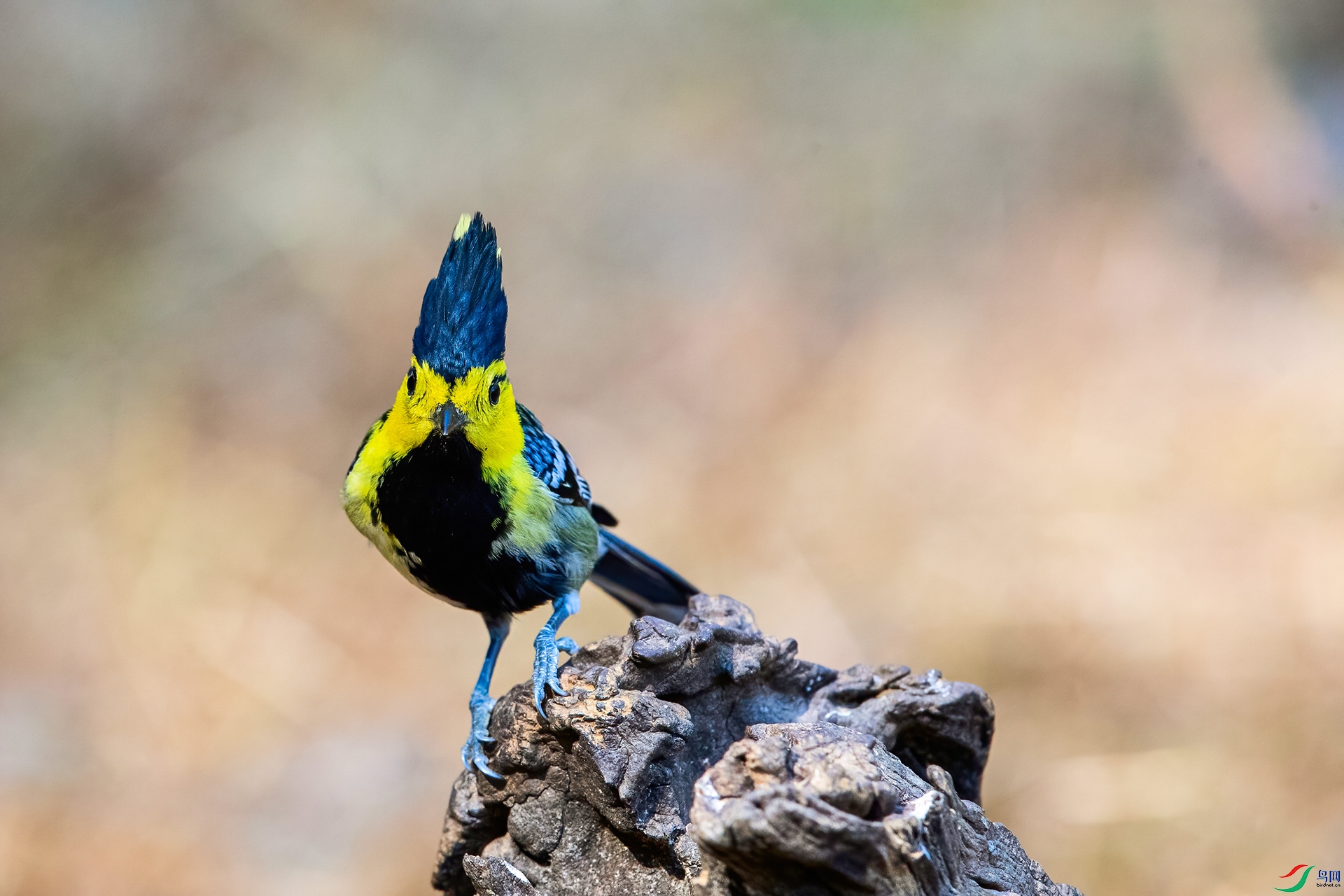BY2I4676-1ab.jpg