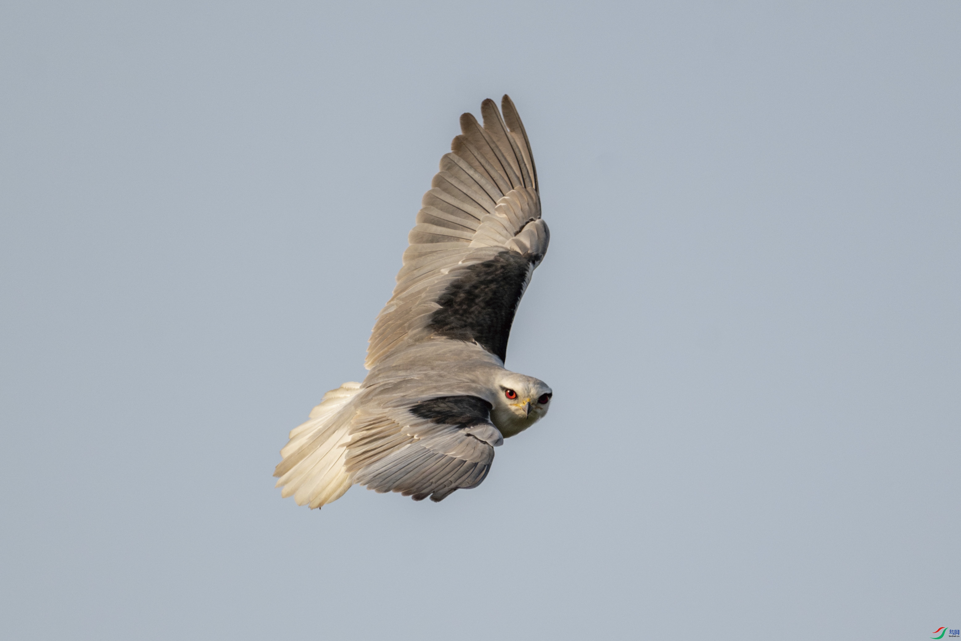DSC_3874_1.JPG