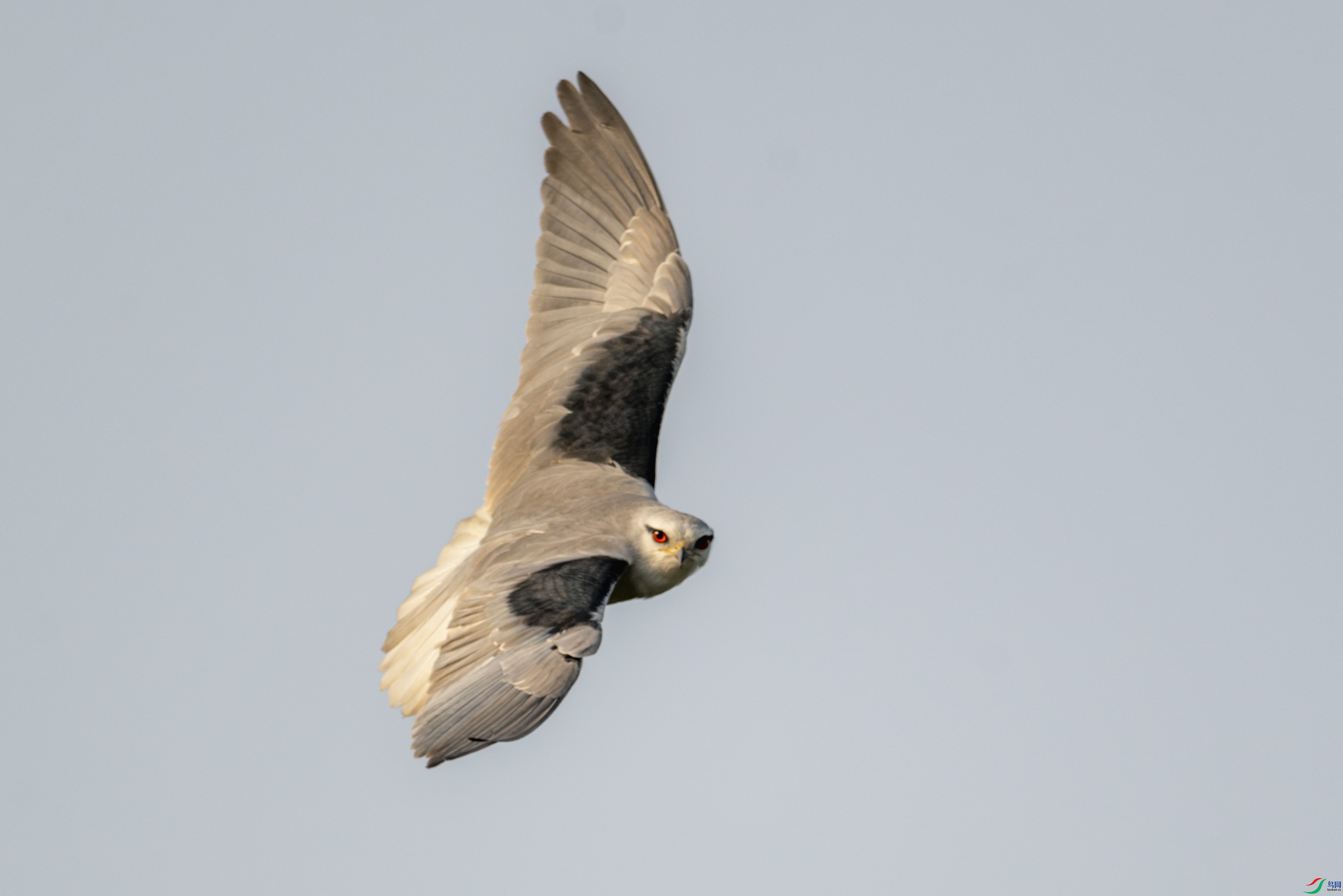 DSC_3875_1.JPG