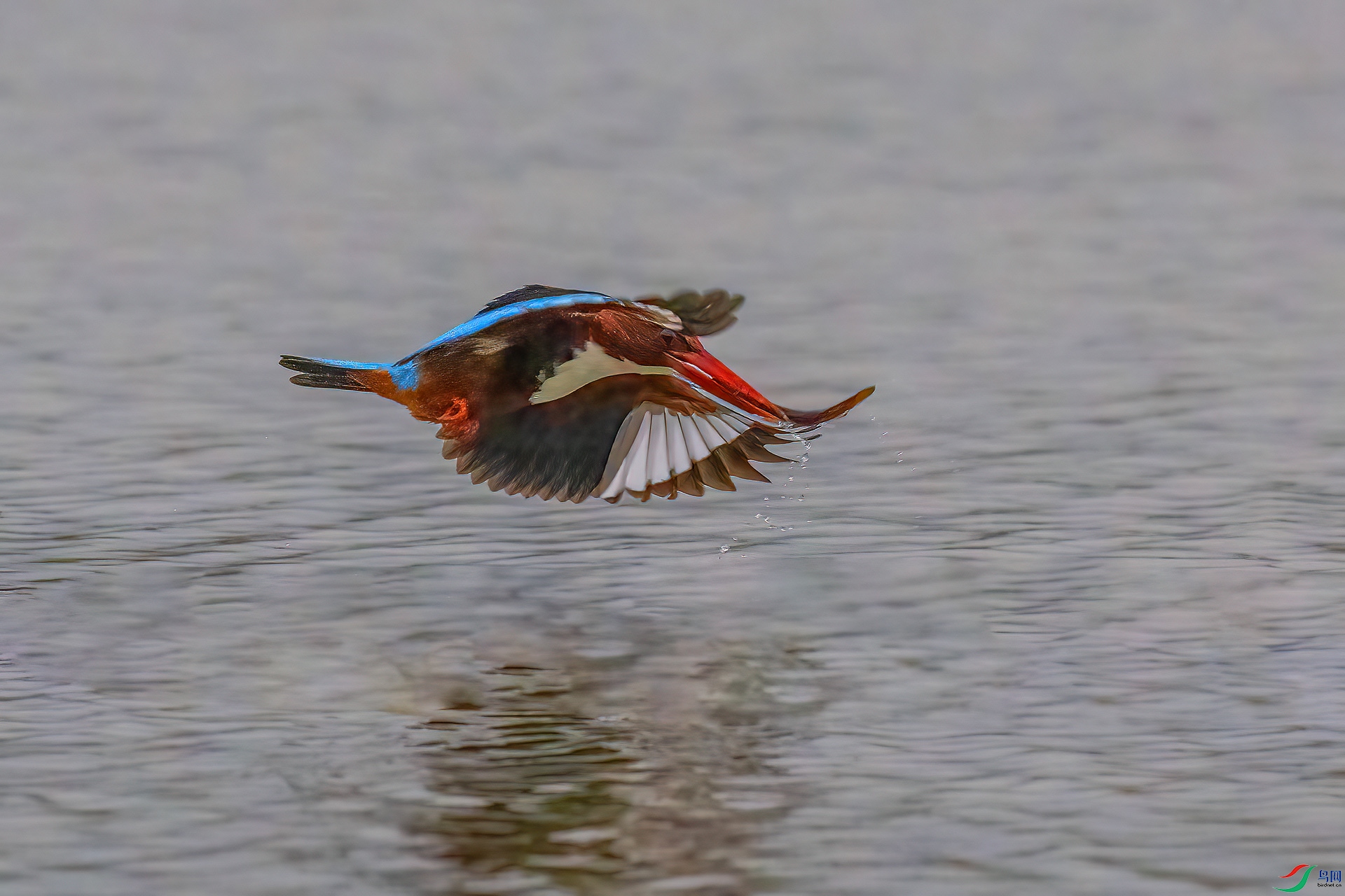 DSC_0439.jpg
