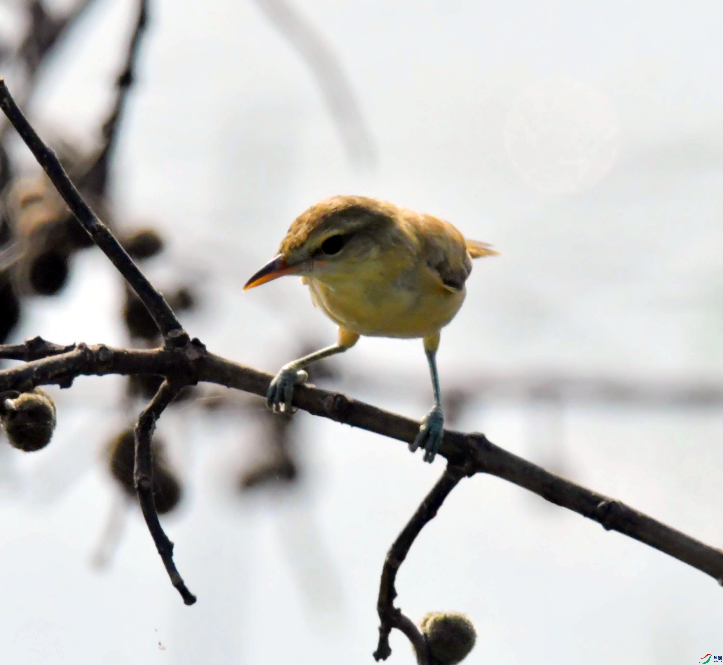 DSC_7684.JPG