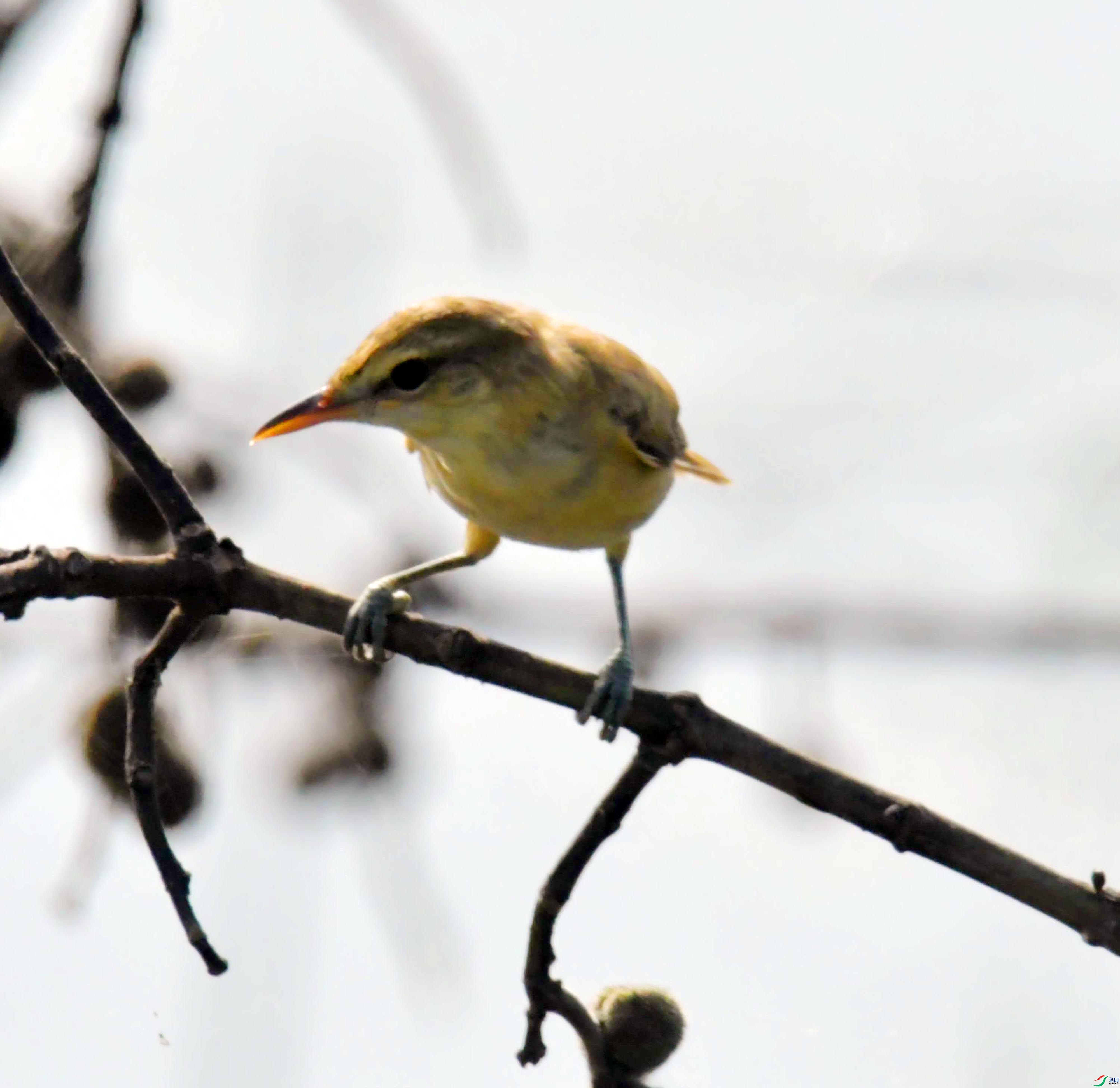 DSC_7686.JPG
