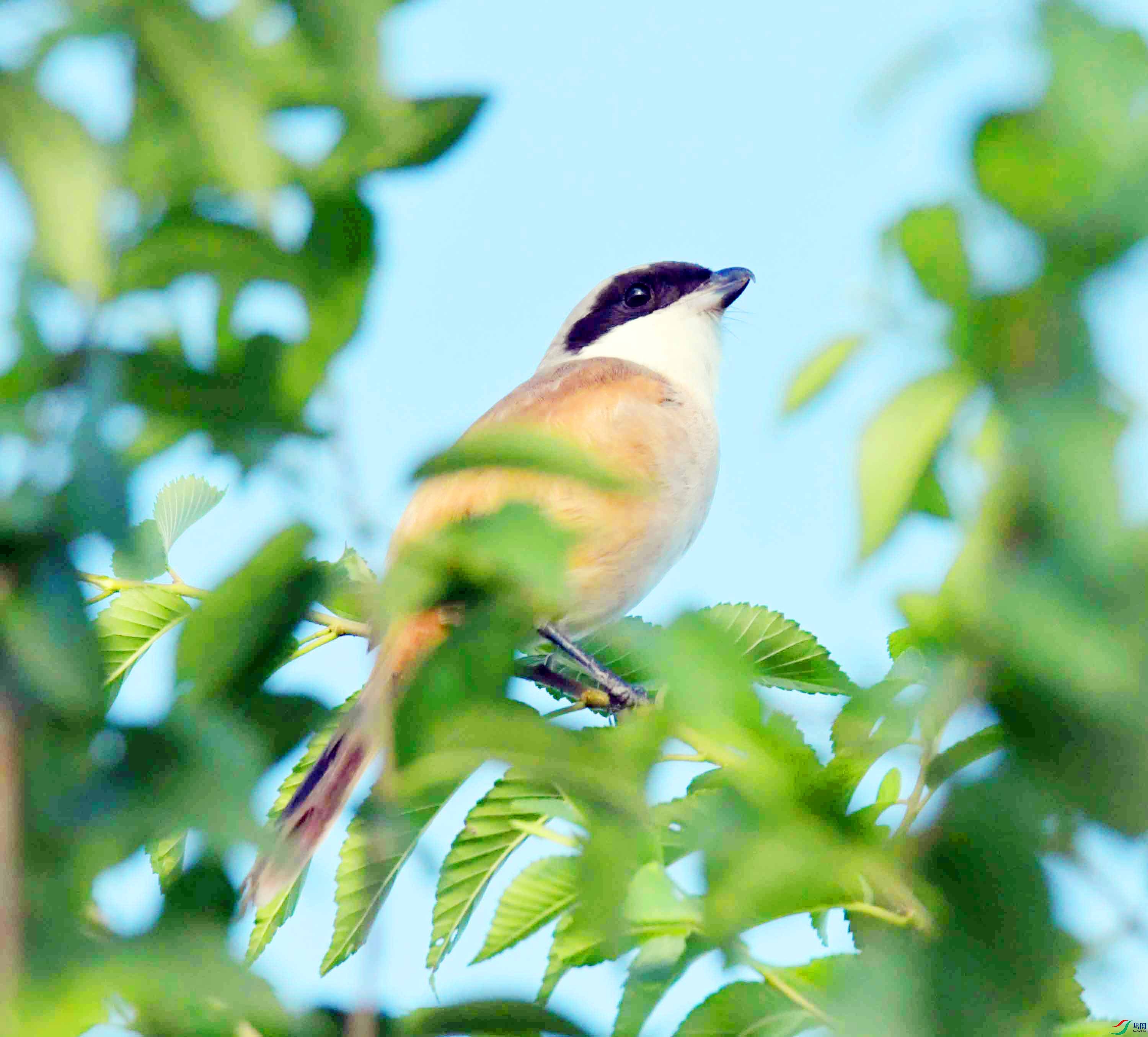 DSC_8369.JPG
