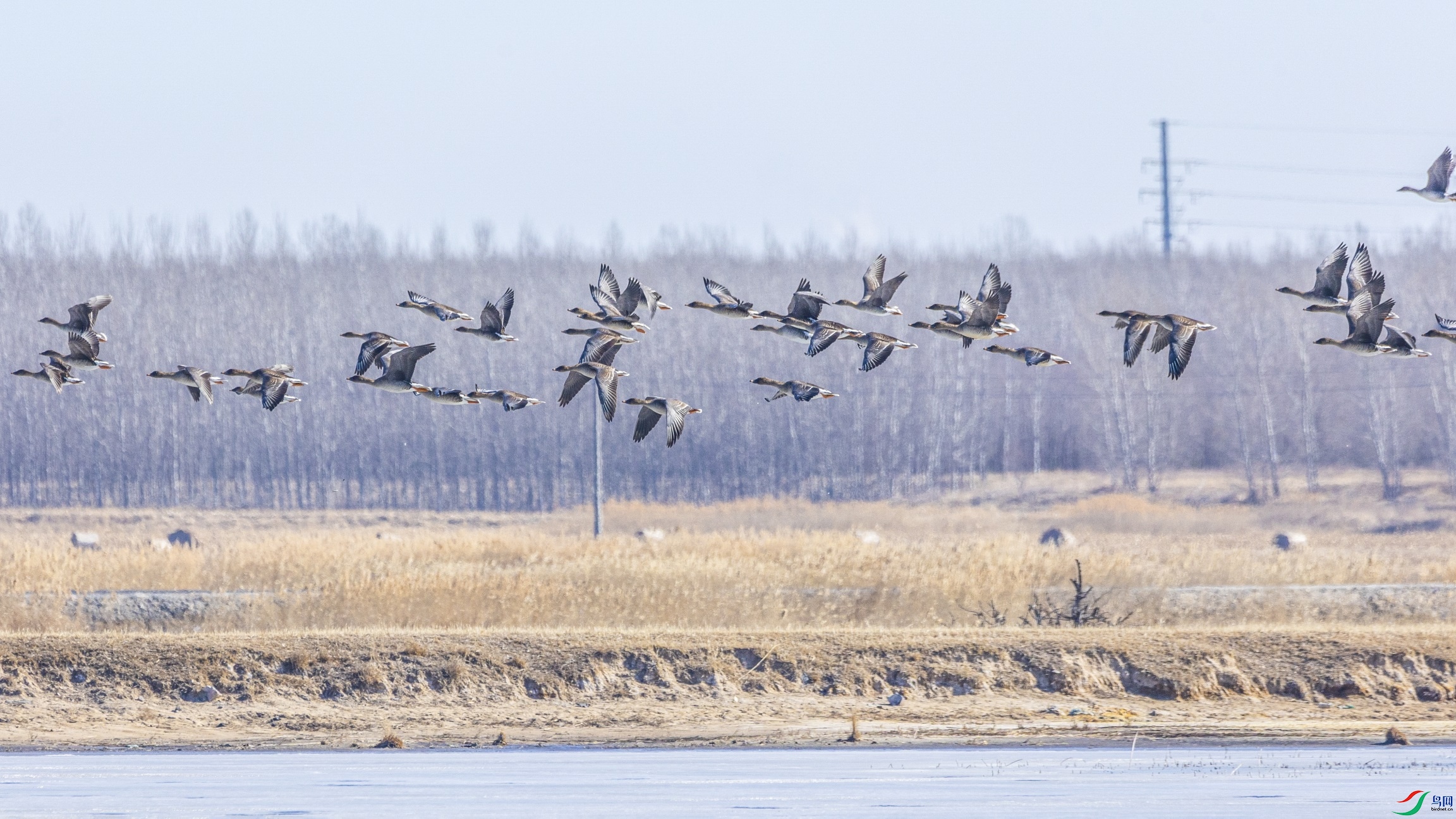 1K3A0429 ����1.jpg