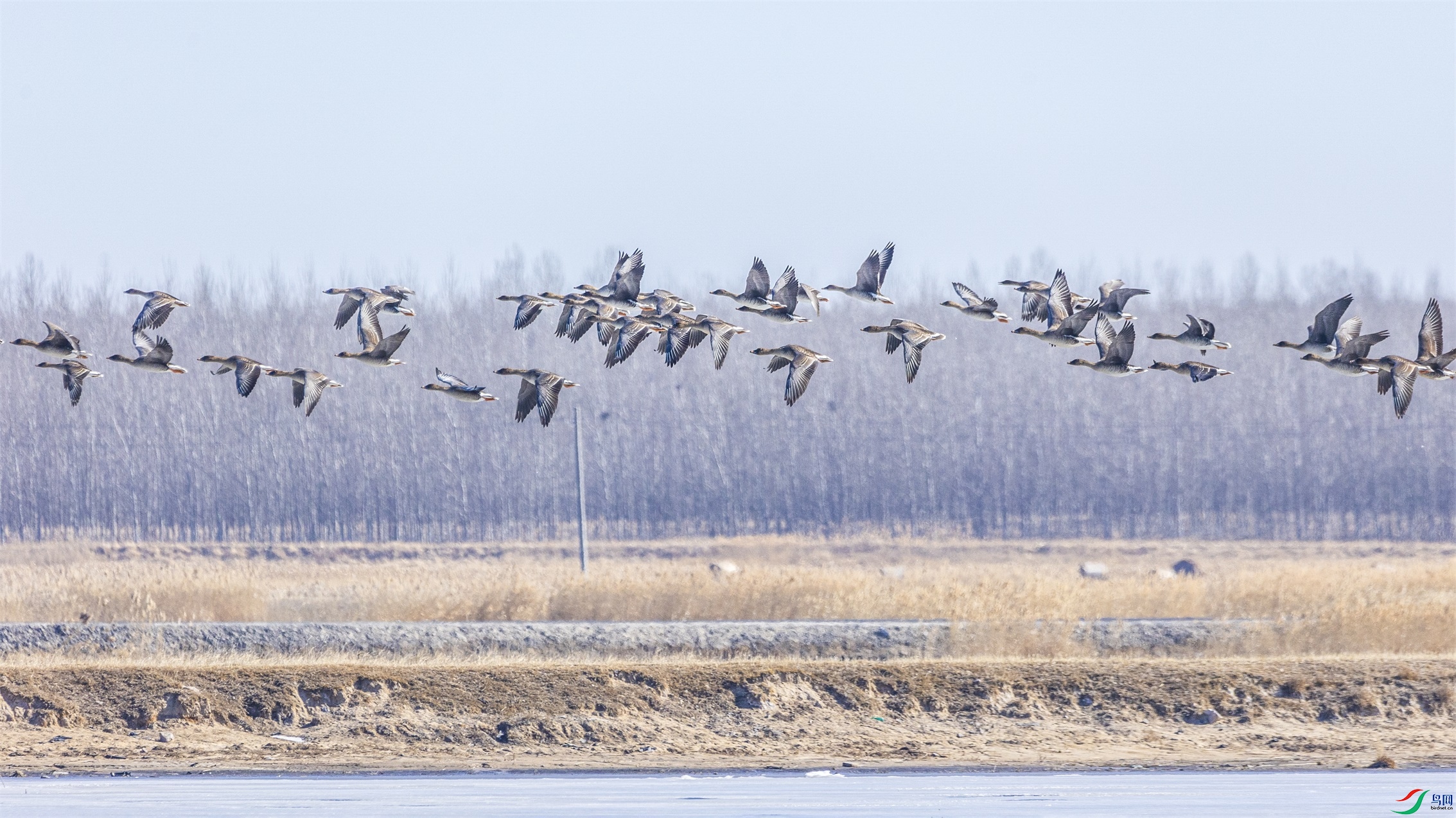 1K3A0432 ����1.jpg