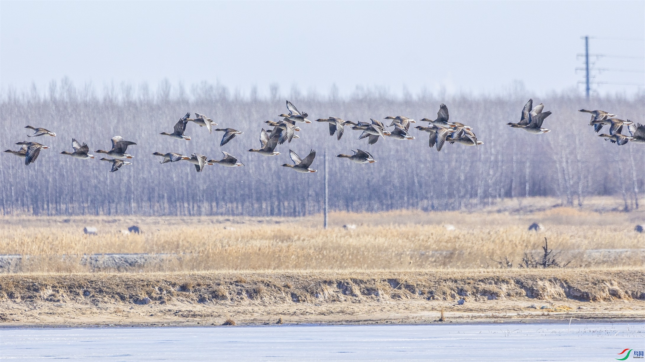 1K3A0431 ����1.jpg